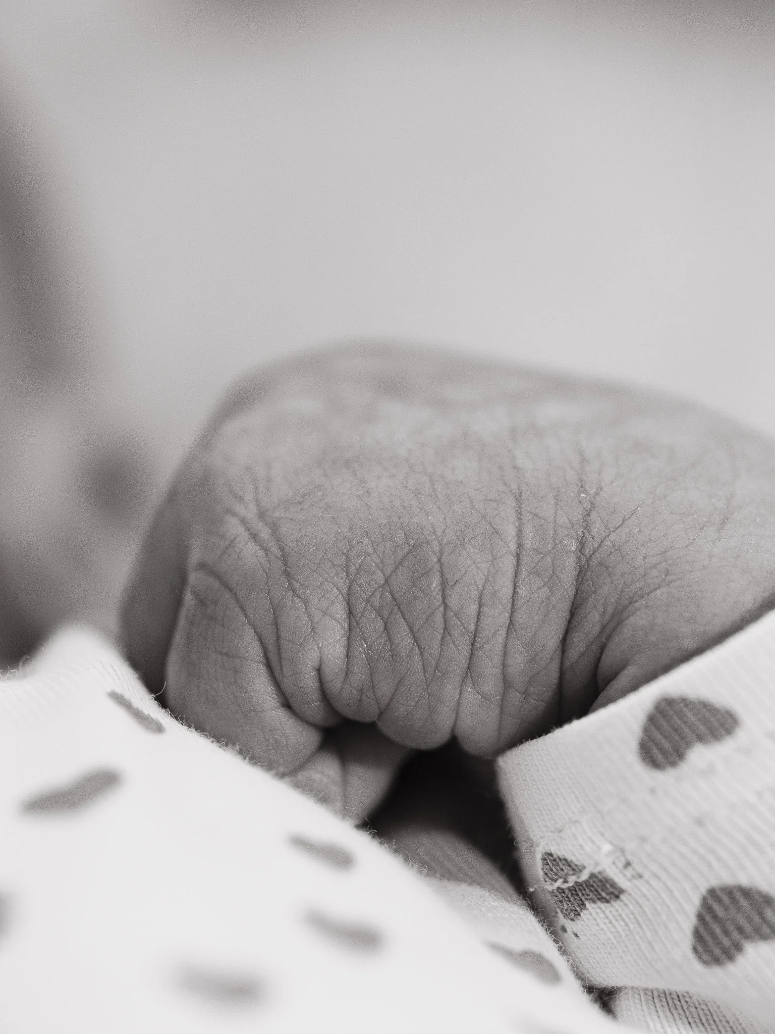 Photographe Moutiers – Photographe Tarentaise - Photographe Savoie