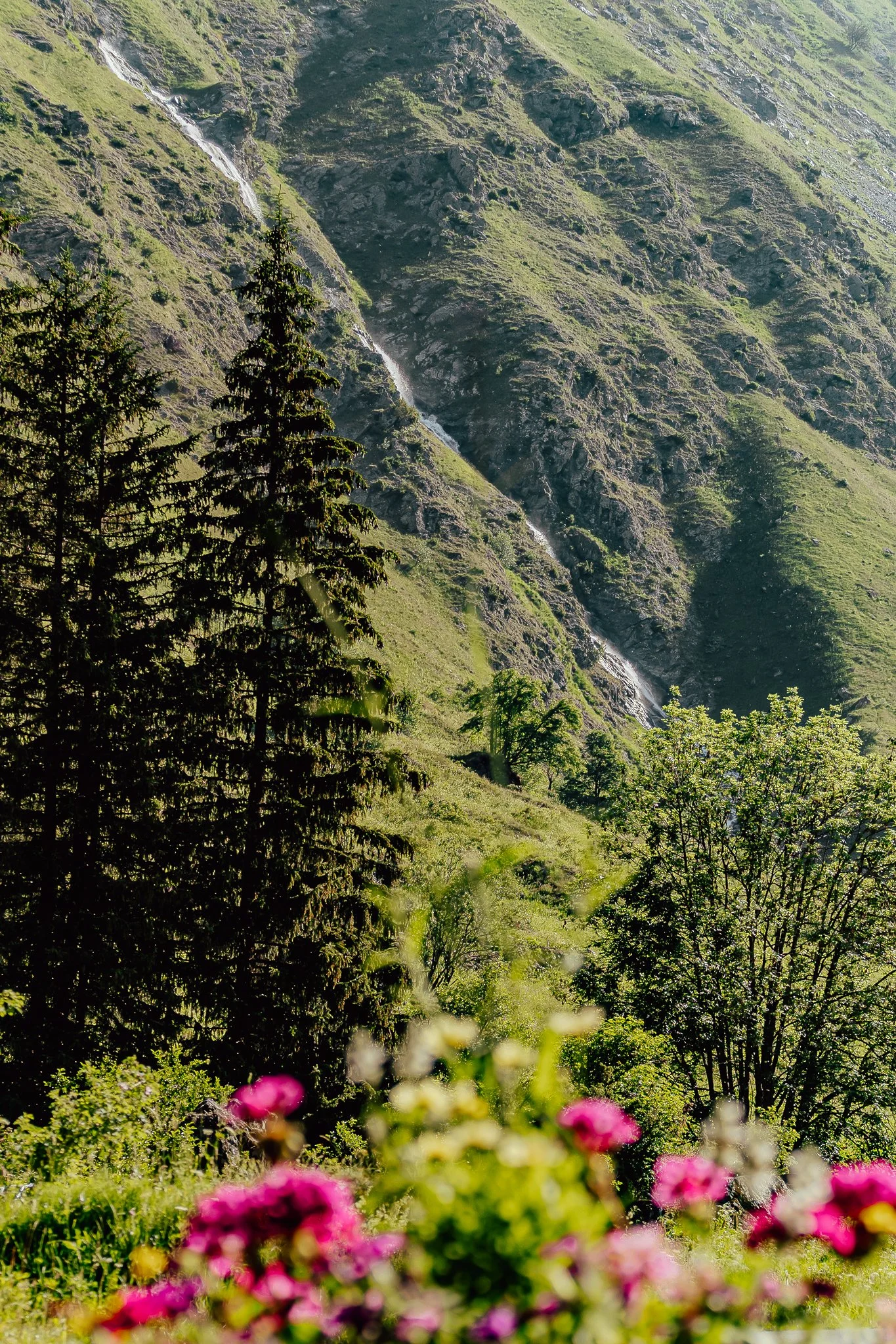 Photographe Moutiers – Photographe Tarentaise - Photographe Savoie