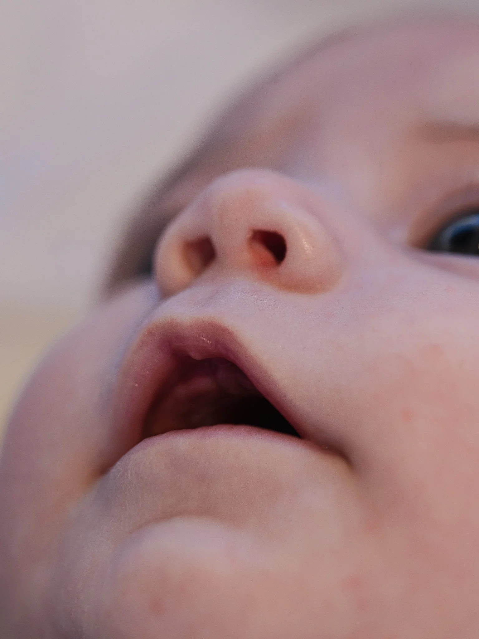 Photographe Moutiers – Photographe Tarentaise - Photographe Savoie