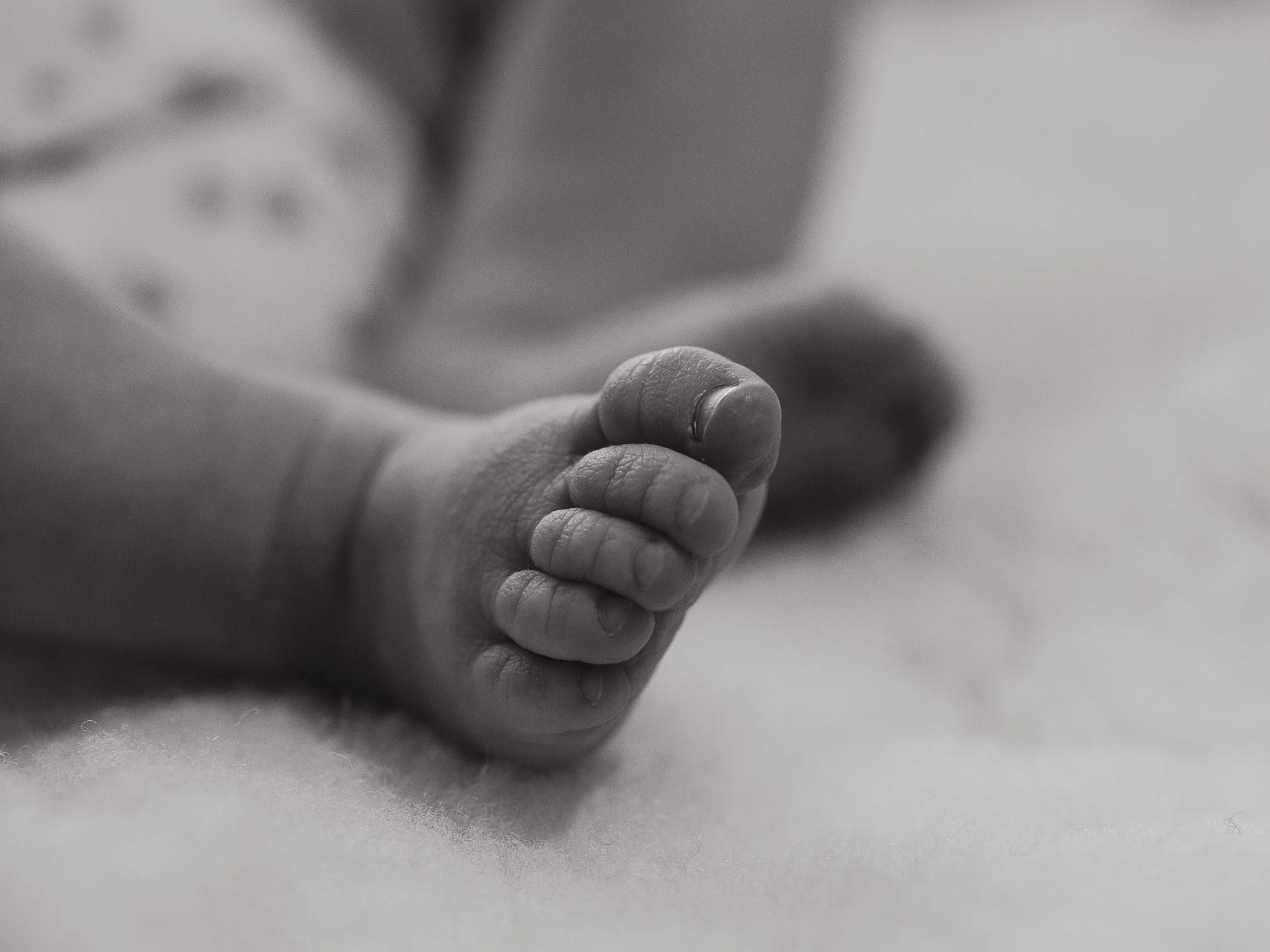 Photographe Moutiers – Photographe Tarentaise - Photographe Savoie