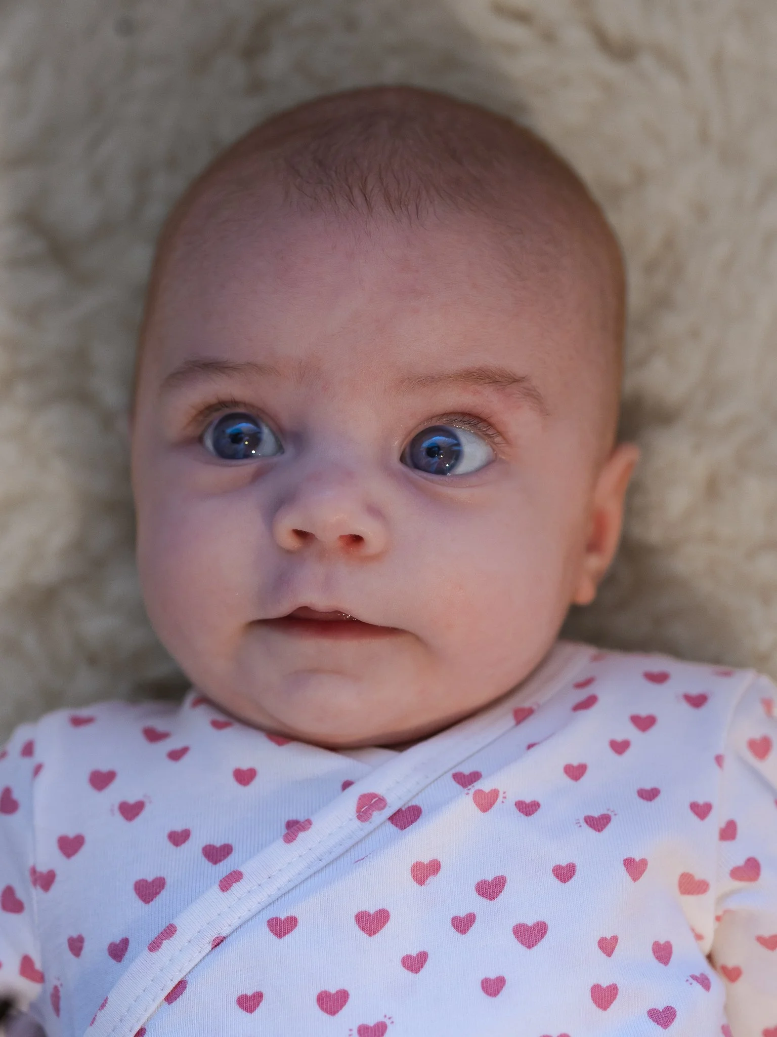 Photographe Moutiers – Photographe Tarentaise - Photographe Savoie