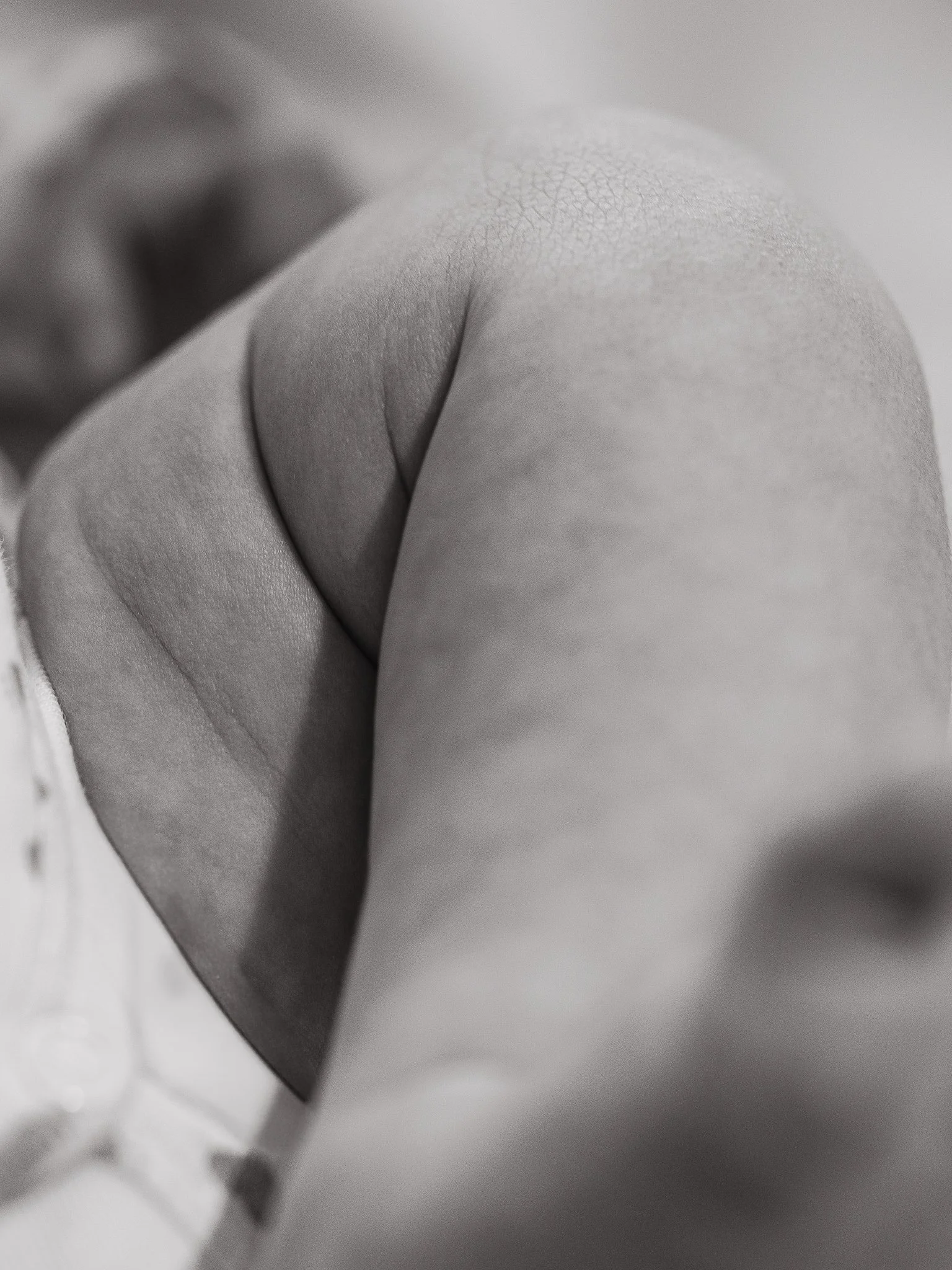 Photographe Moutiers – Photographe Tarentaise - Photographe Savoie