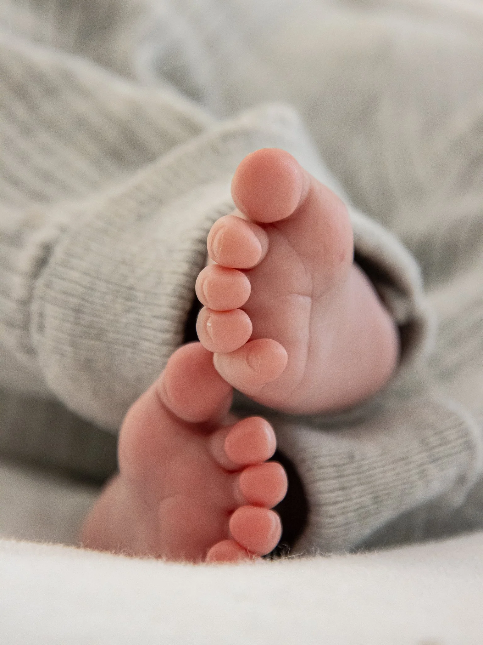 Photographe Moutiers – Photographe Tarentaise - Photographe Savoie