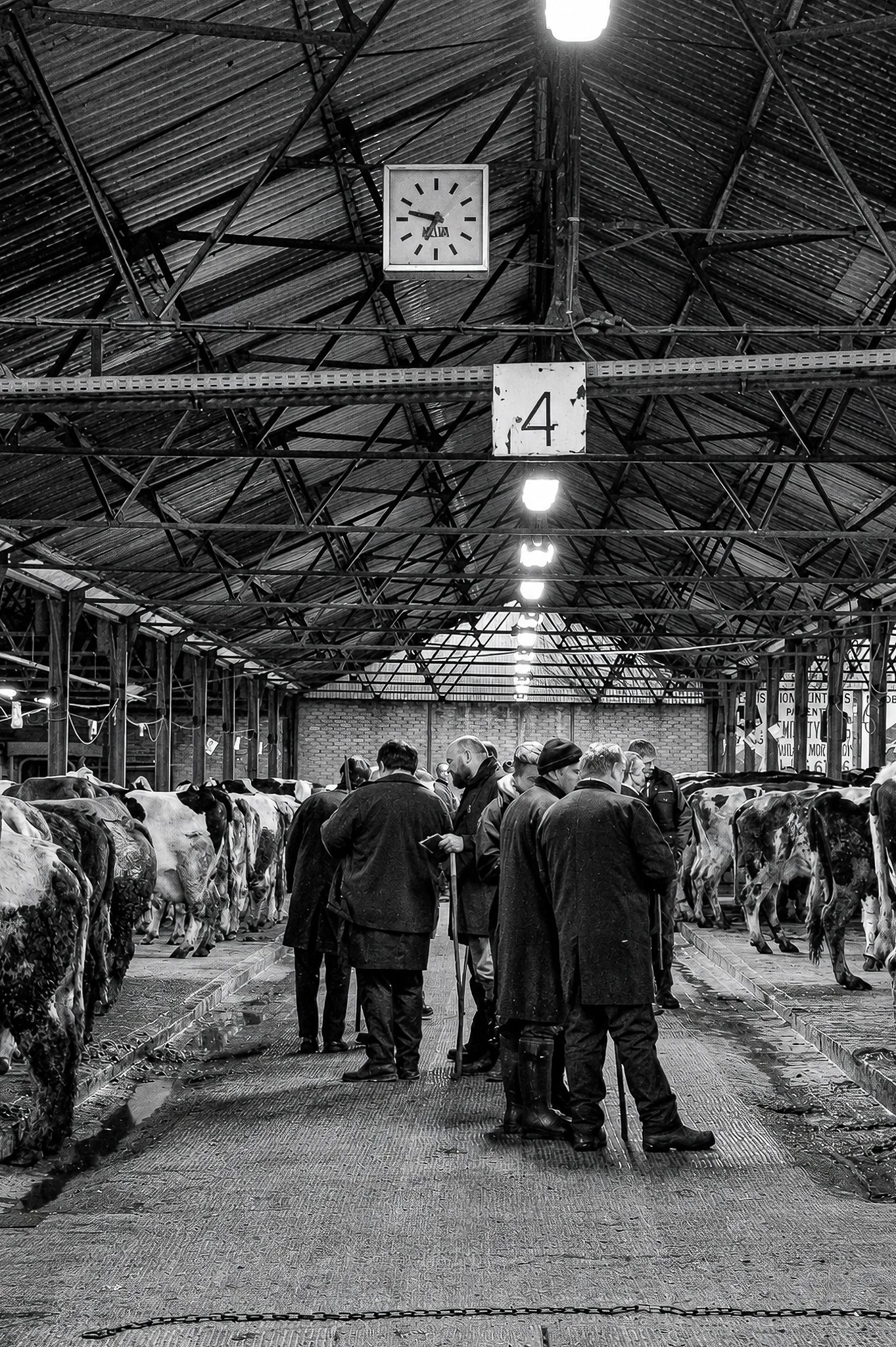 Photographe Moutiers – Photographe Tarentaise - Photographe Savoie