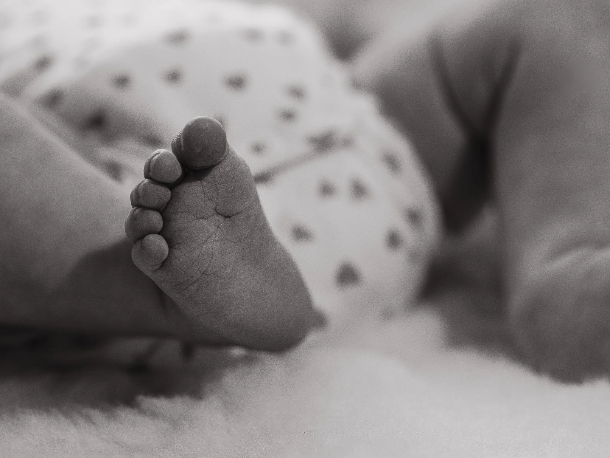 Photographe Moutiers – Photographe Tarentaise - Photographe Savoie