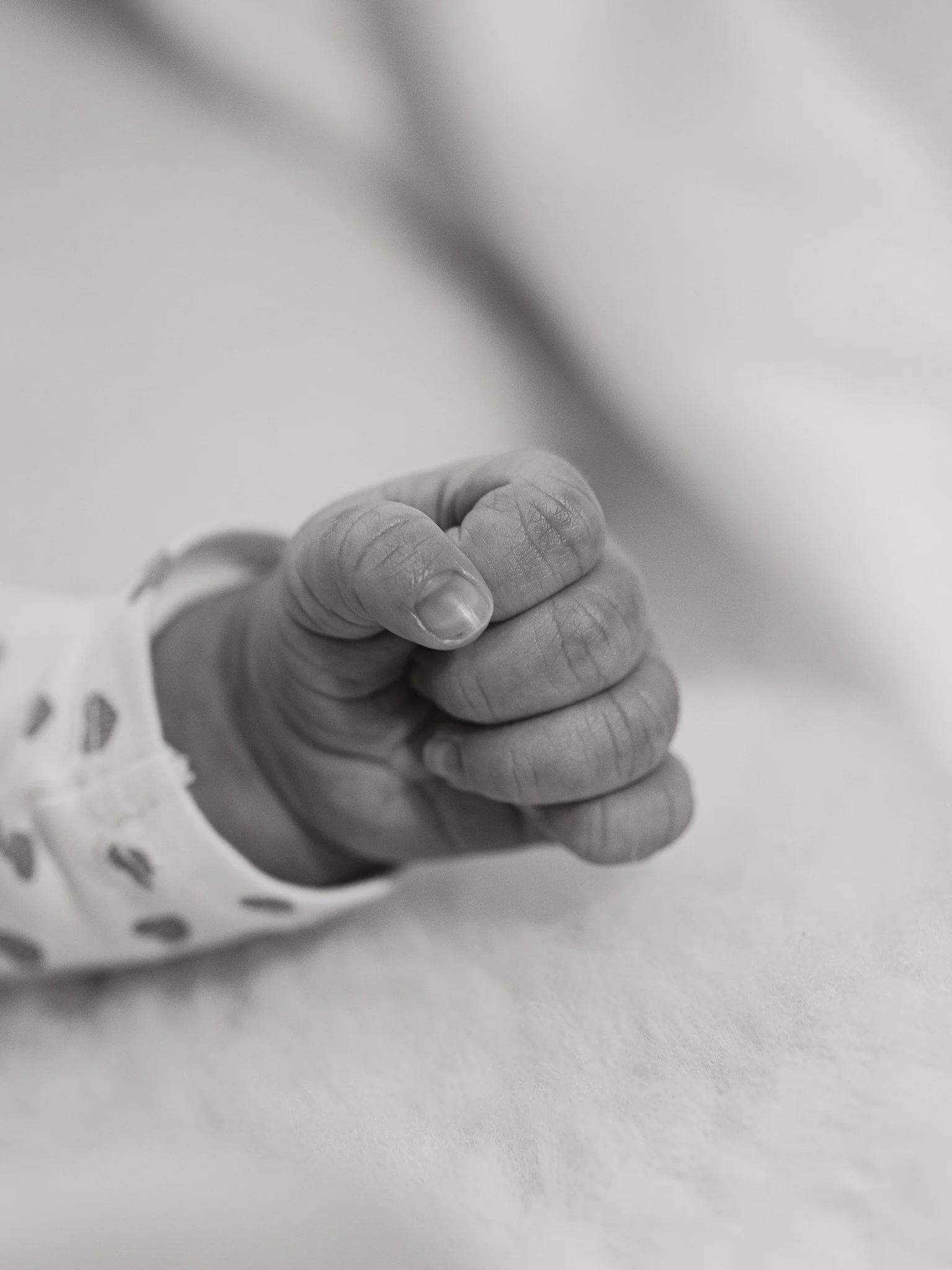 Photographe Moutiers – Photographe Tarentaise - Photographe Savoie