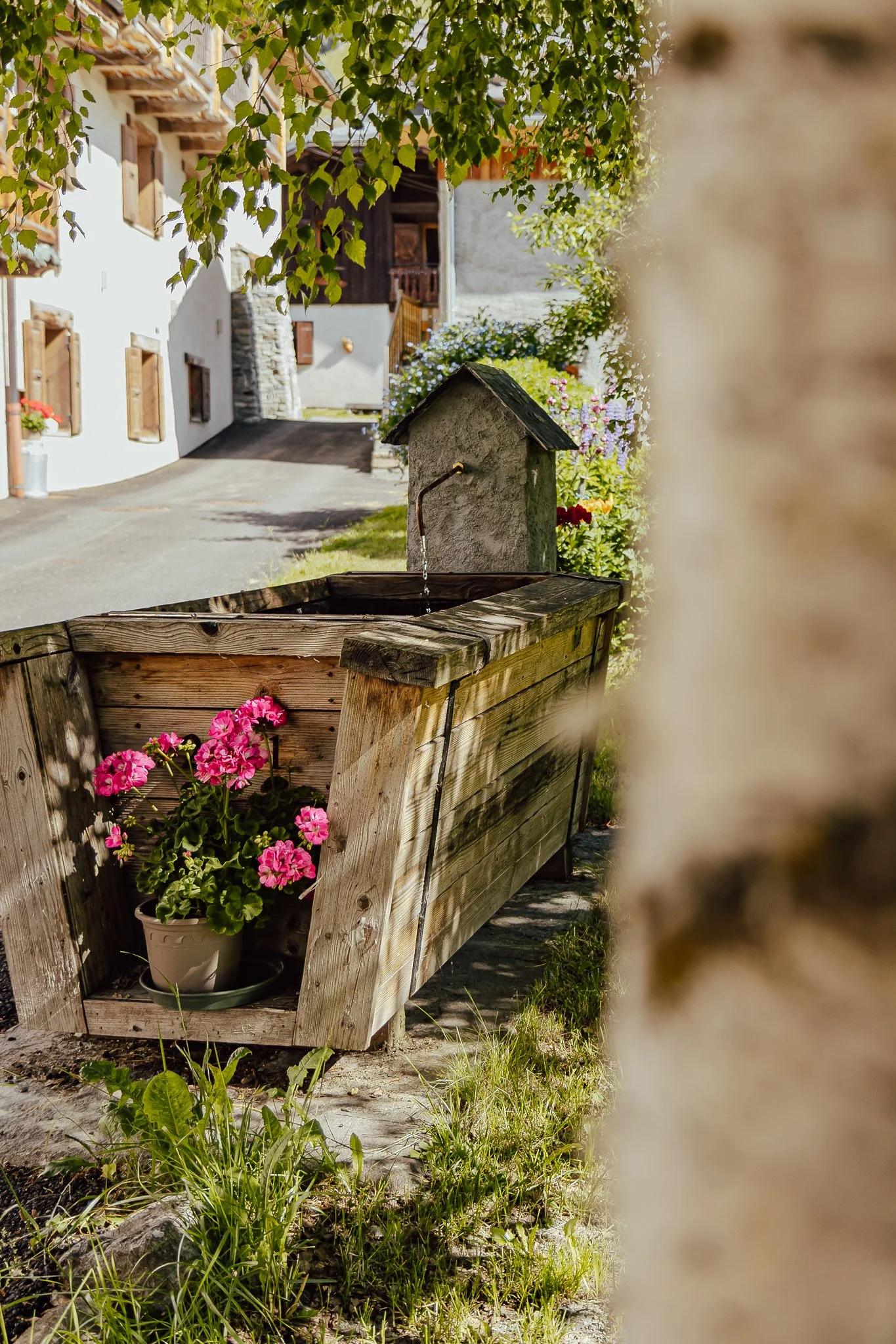 Photographe Moutiers – Photographe Tarentaise - Photographe Savoie