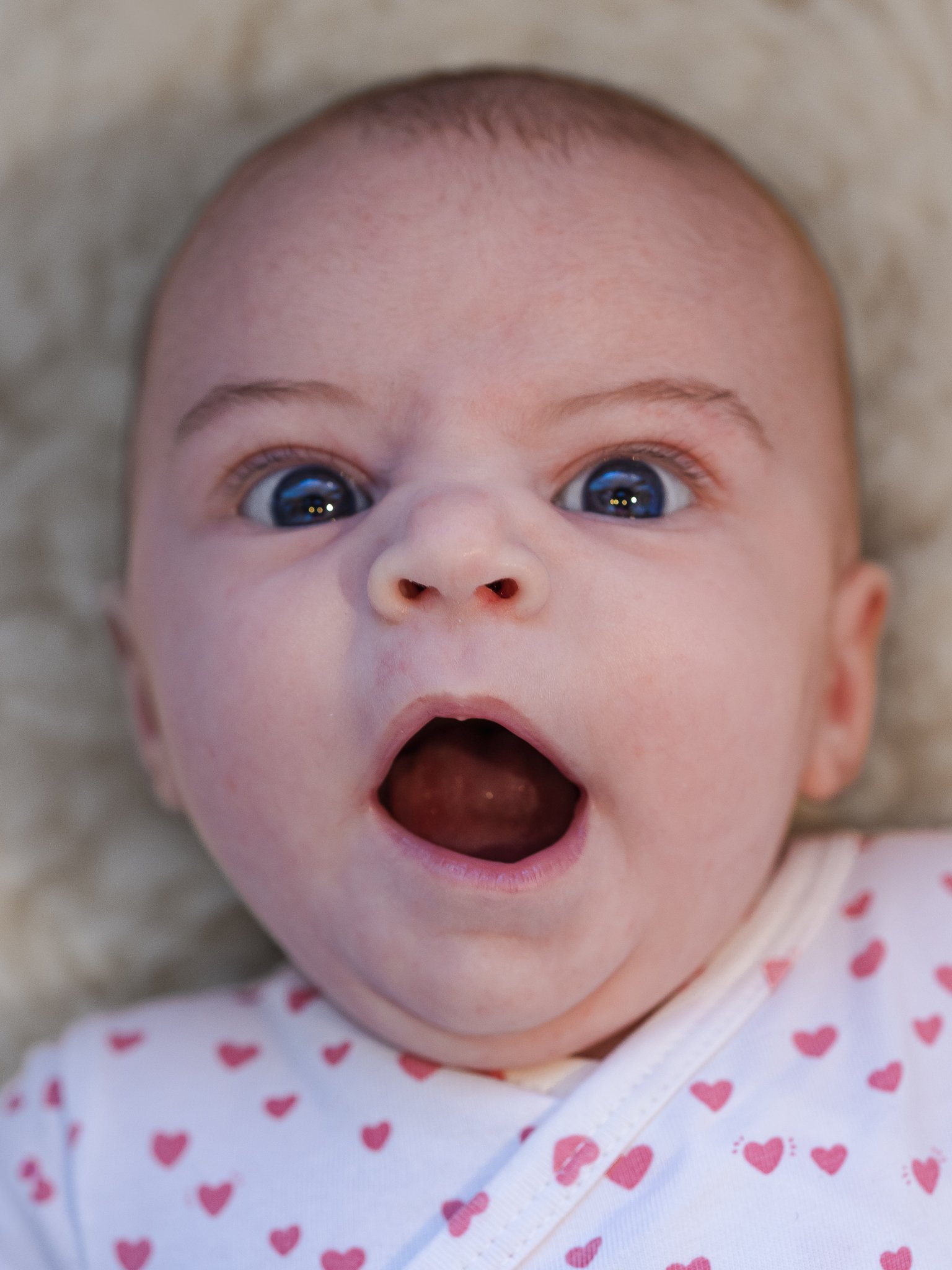 Photographe Moutiers – Photographe Tarentaise - Photographe Savoie