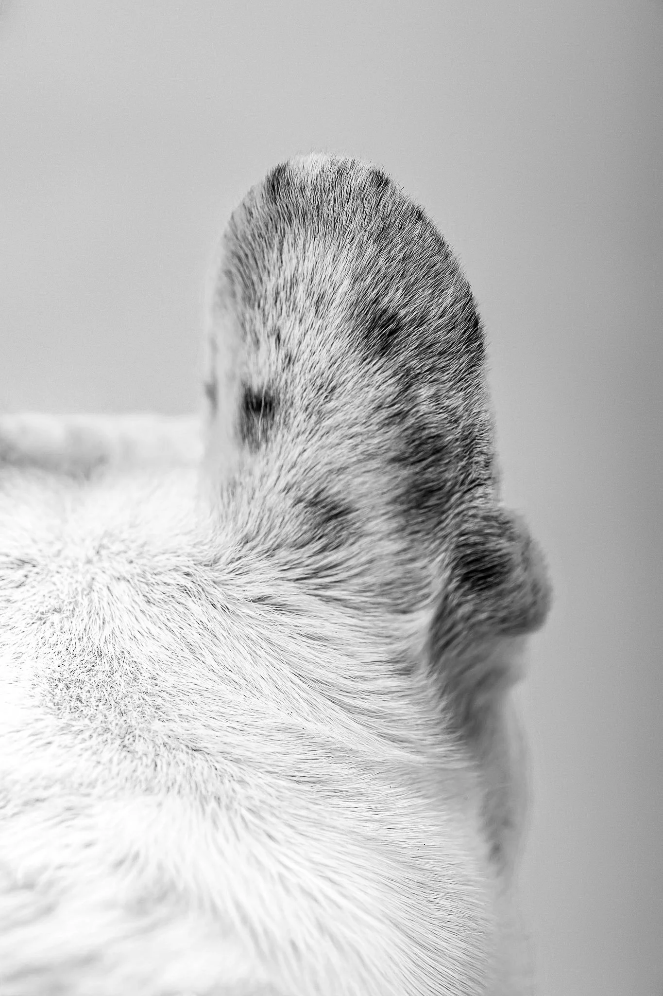 Photographe Moutiers – Photographe Tarentaise - Photographe Savoie