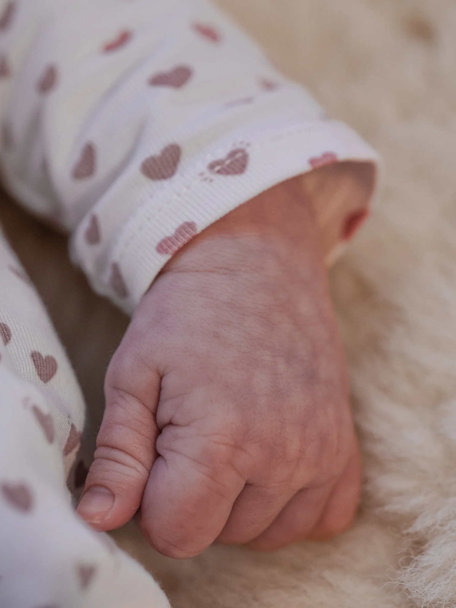 Photographe Moutiers – Photographe Tarentaise - Photographe Savoie