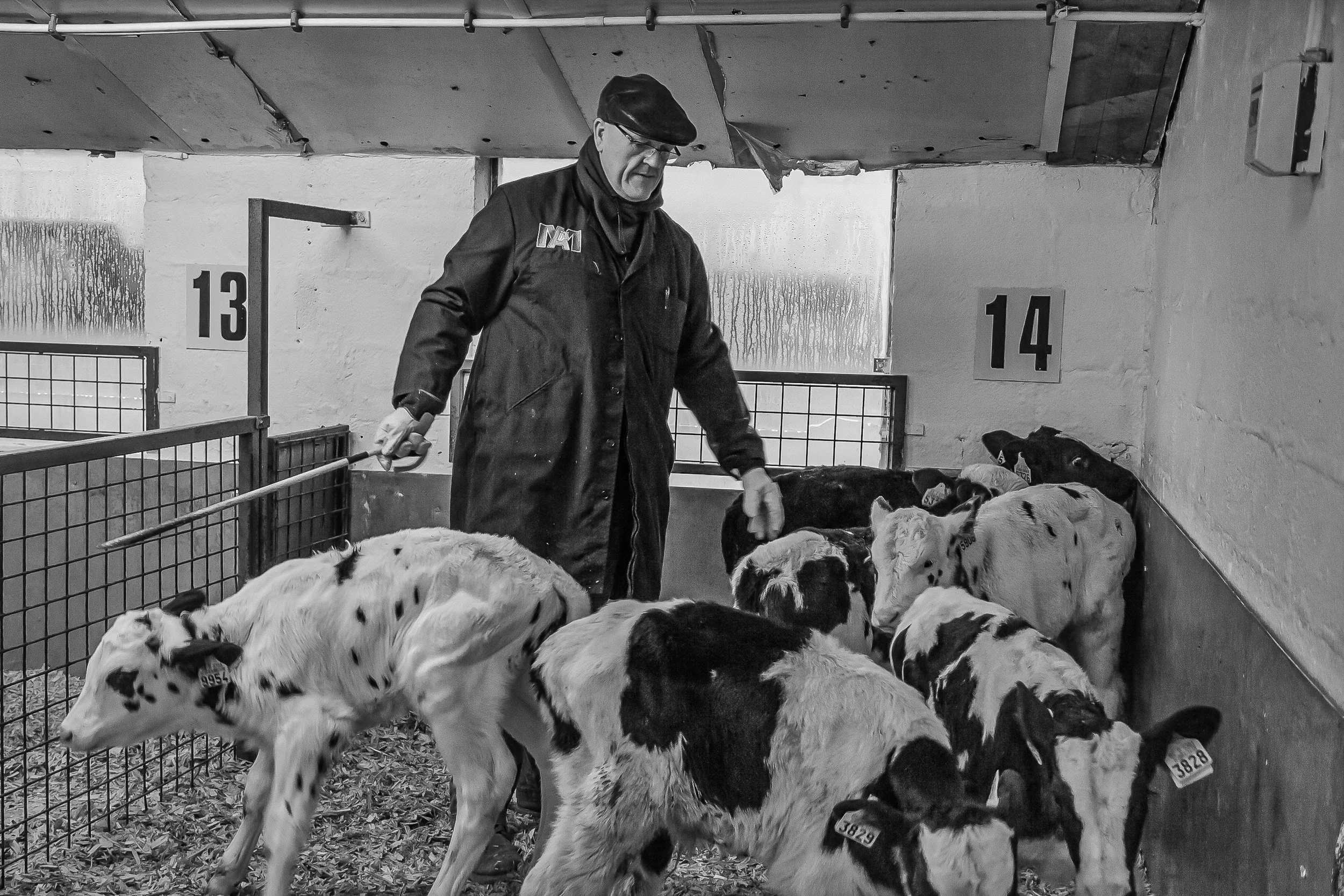 Photographe Moutiers – Photographe Tarentaise - Photographe Savoie