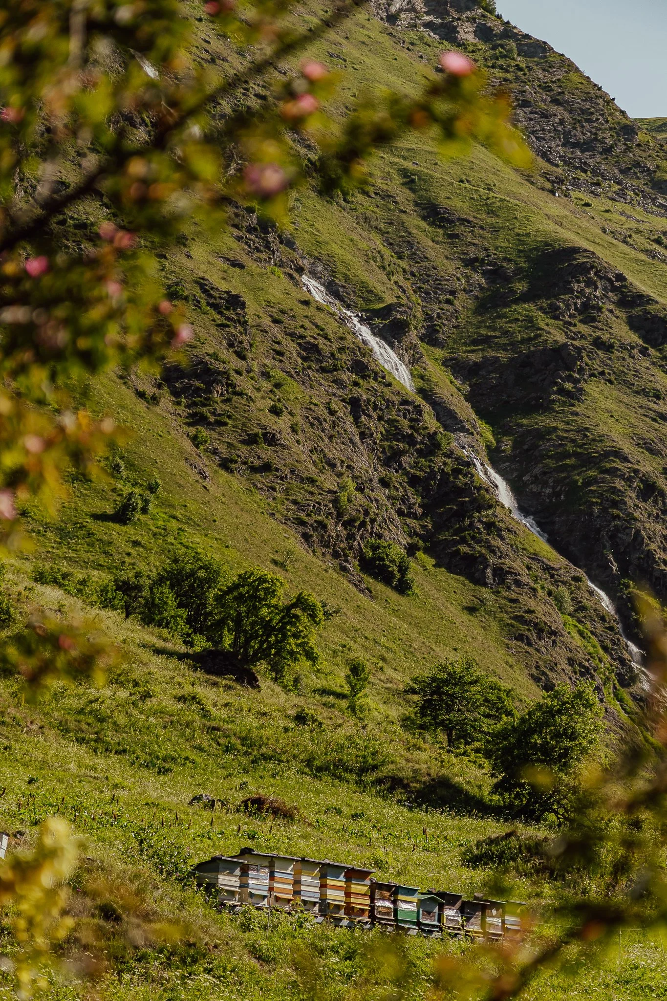 Photographe Moutiers – Photographe Tarentaise - Photographe Savoie