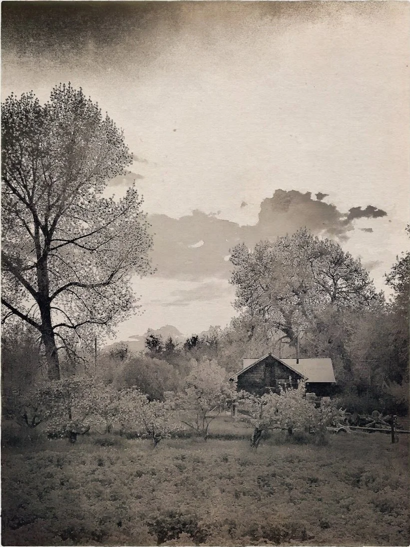 Poet Farm II, published New Plains Review, Oklahoma, Fall 2024