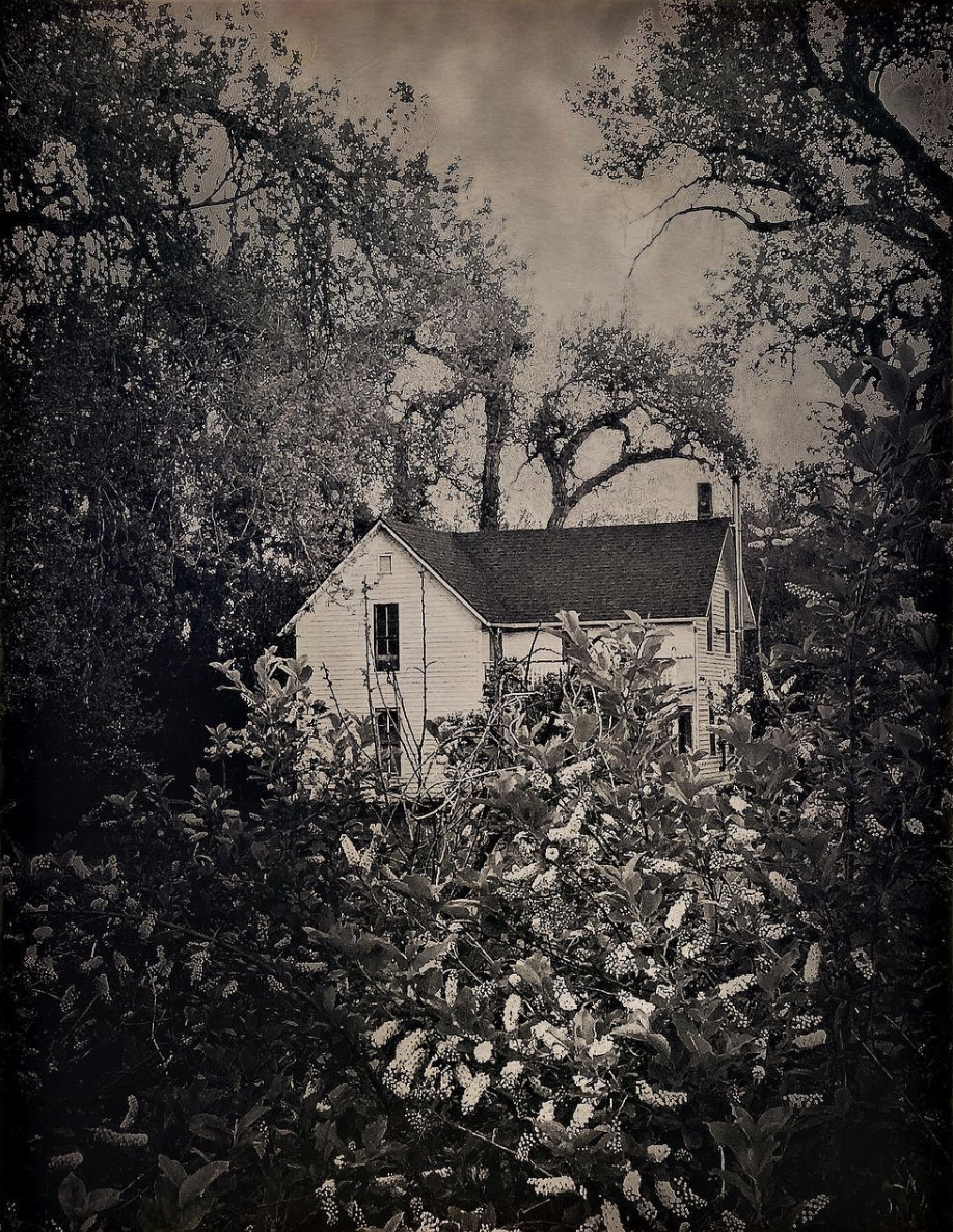 Poet Farm I, published University of Baltimore, Welter Journal, Fall 2023
