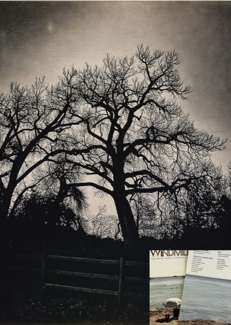 Sorceress, published Hofstra Windmill, Fall 2025