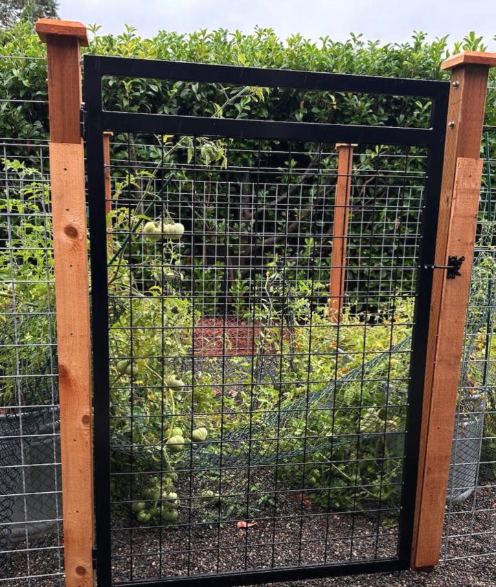 A small garden fence and gate made of black steel grid panels, brown wooden accent posts, and black steel or aluminim structure.