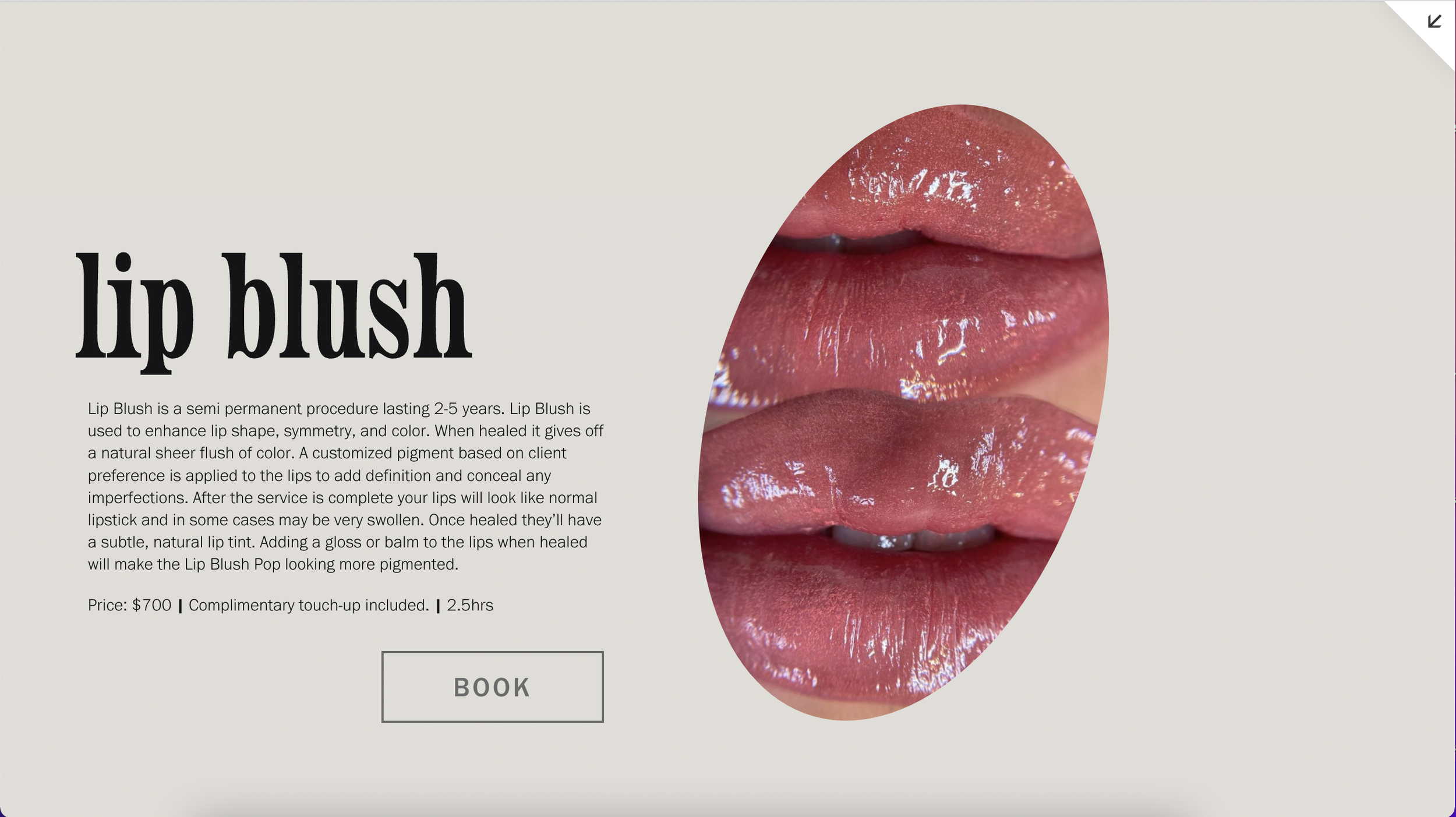 Screen Shot 2023-11-02 at 10.27.25 AM.png