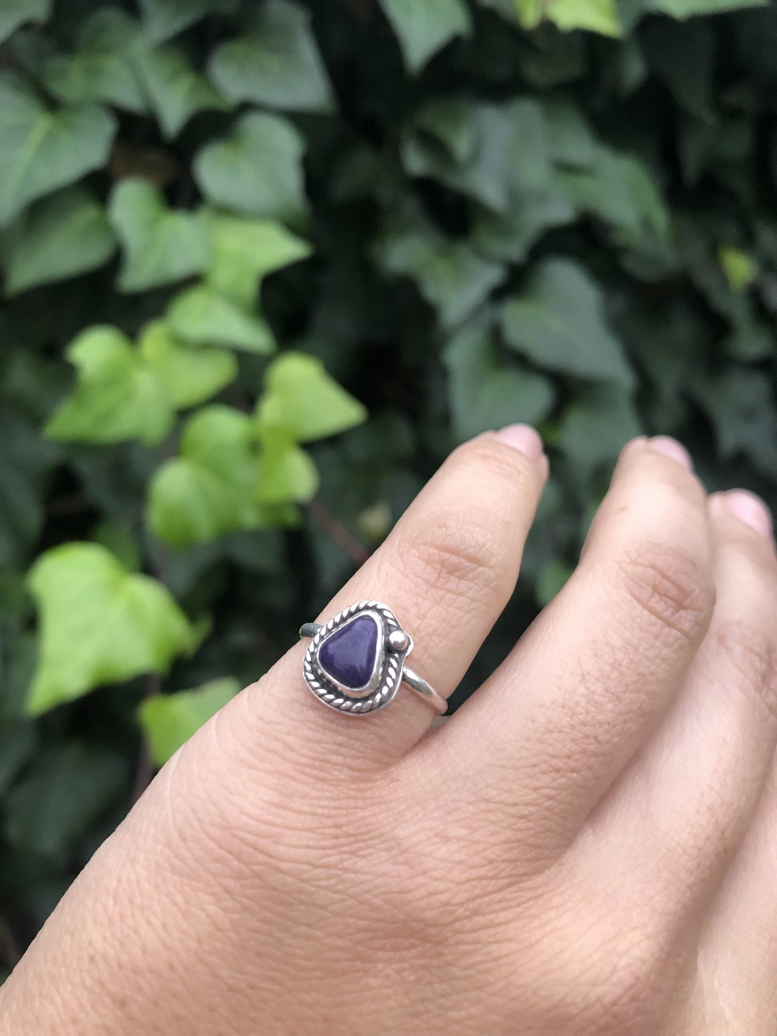 Australian Variseite Turquoise Size 6 Ring