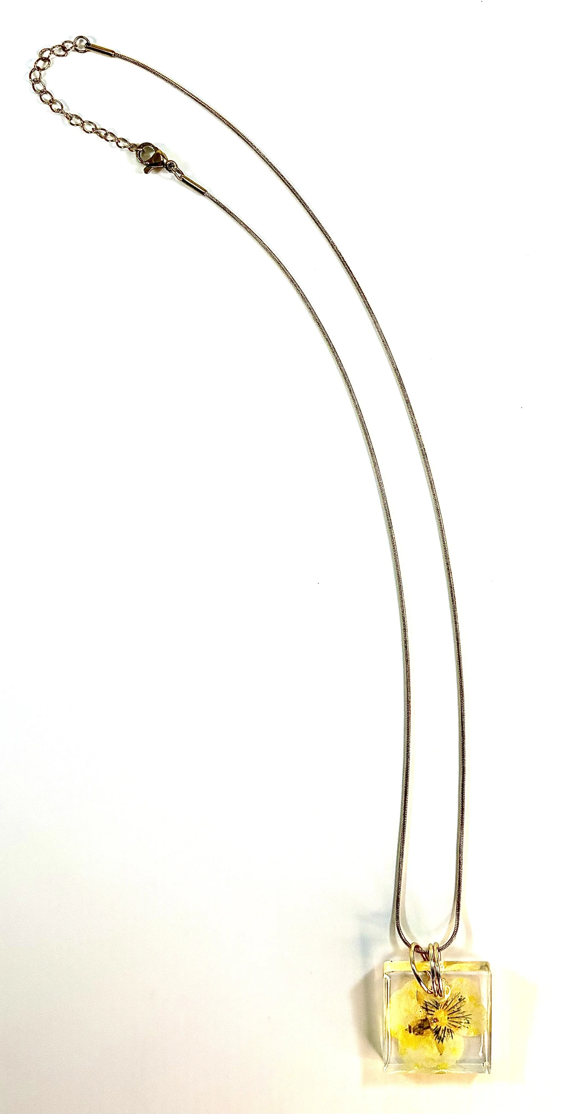 N2130d.jpg