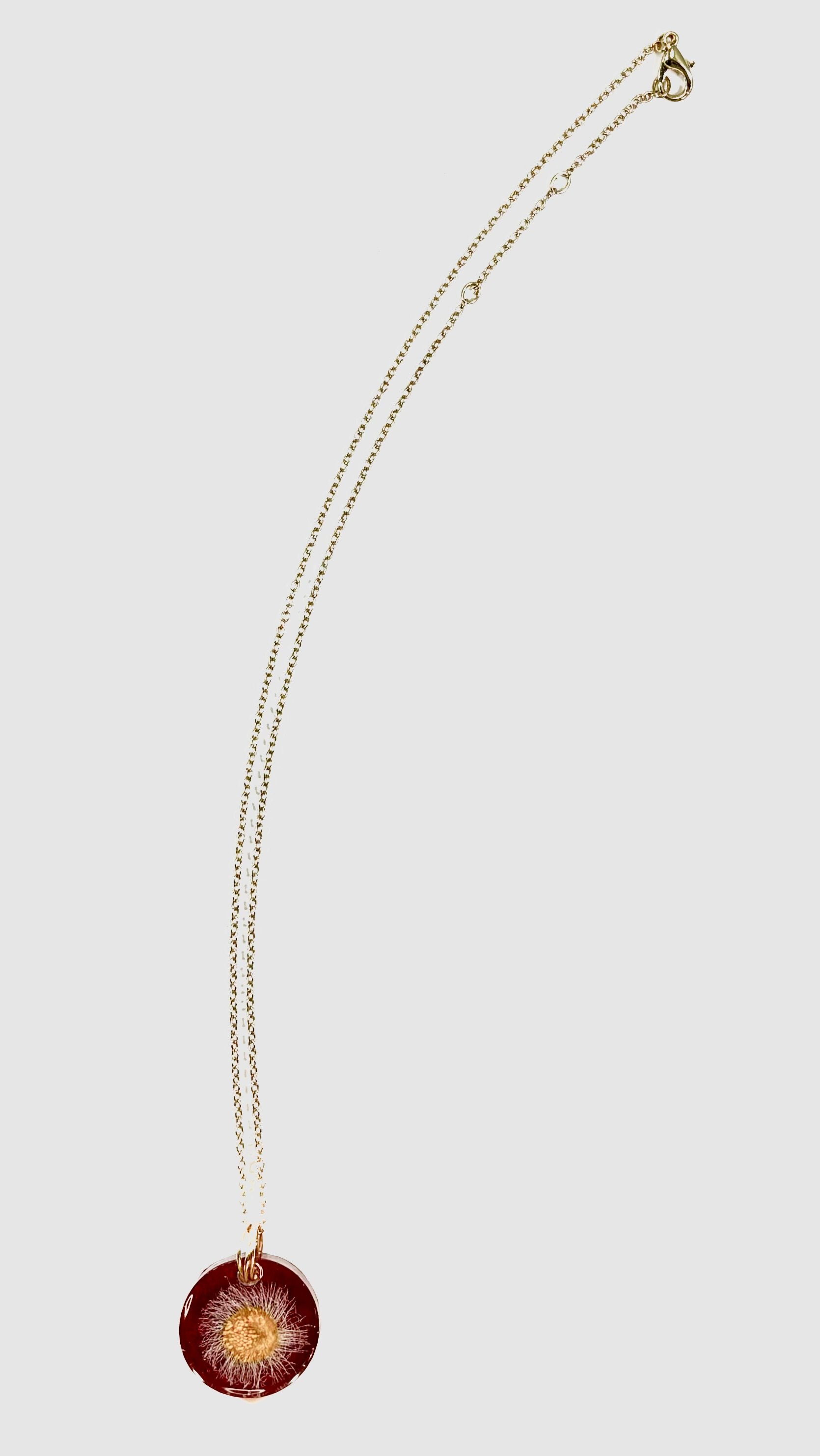 N2128b.jpg