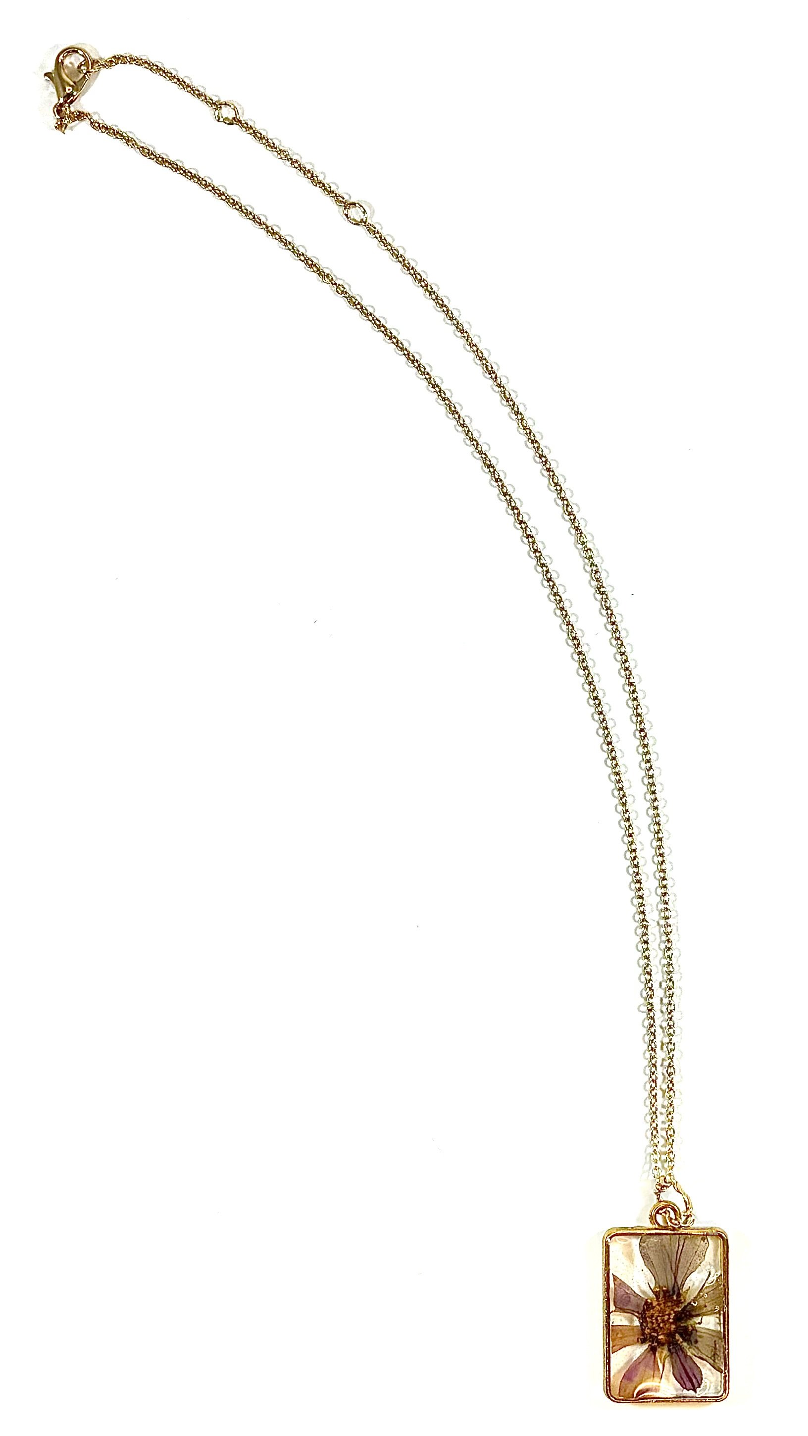 N2131b.jpg