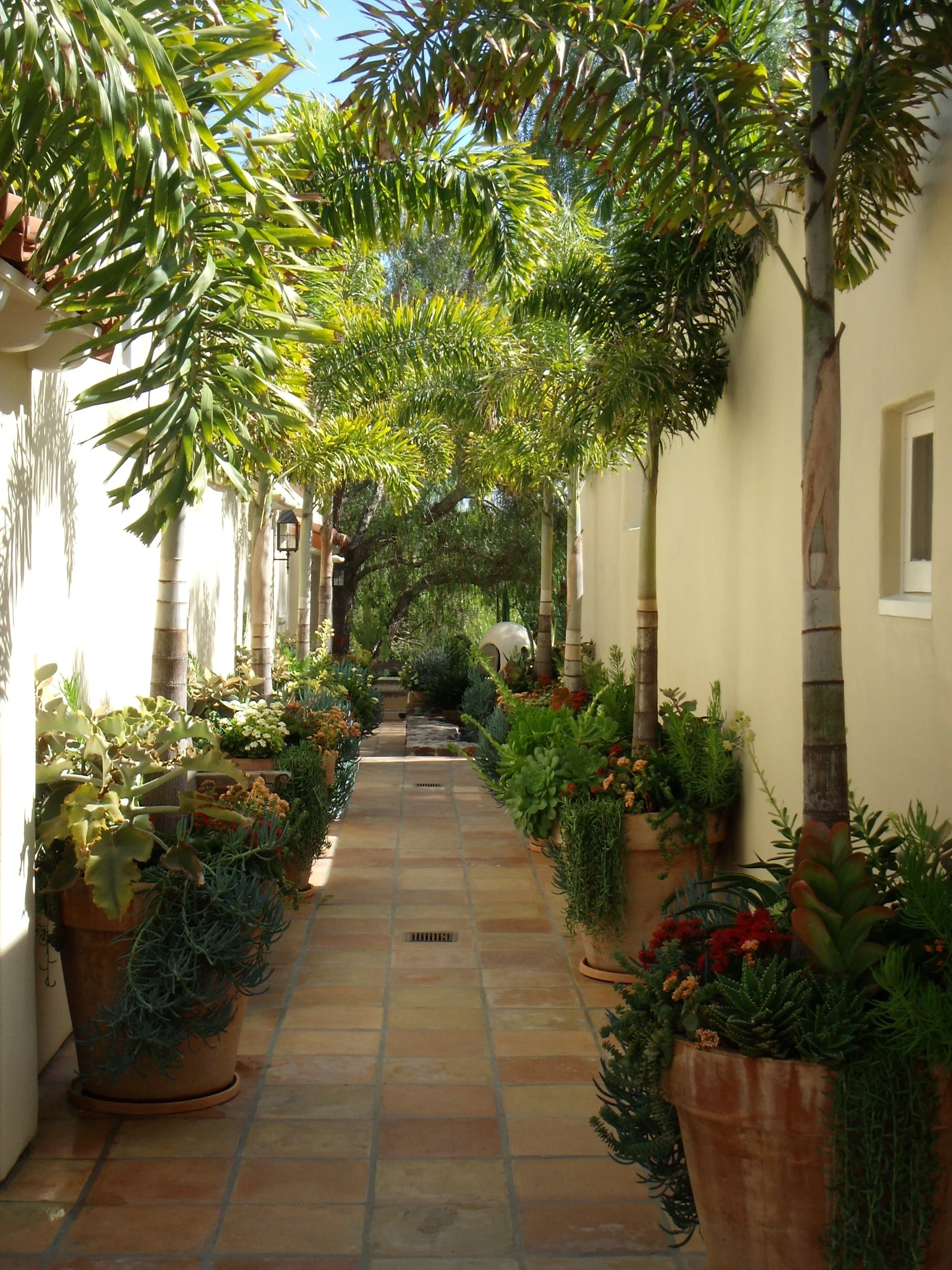 Mexican Street - After.jpg