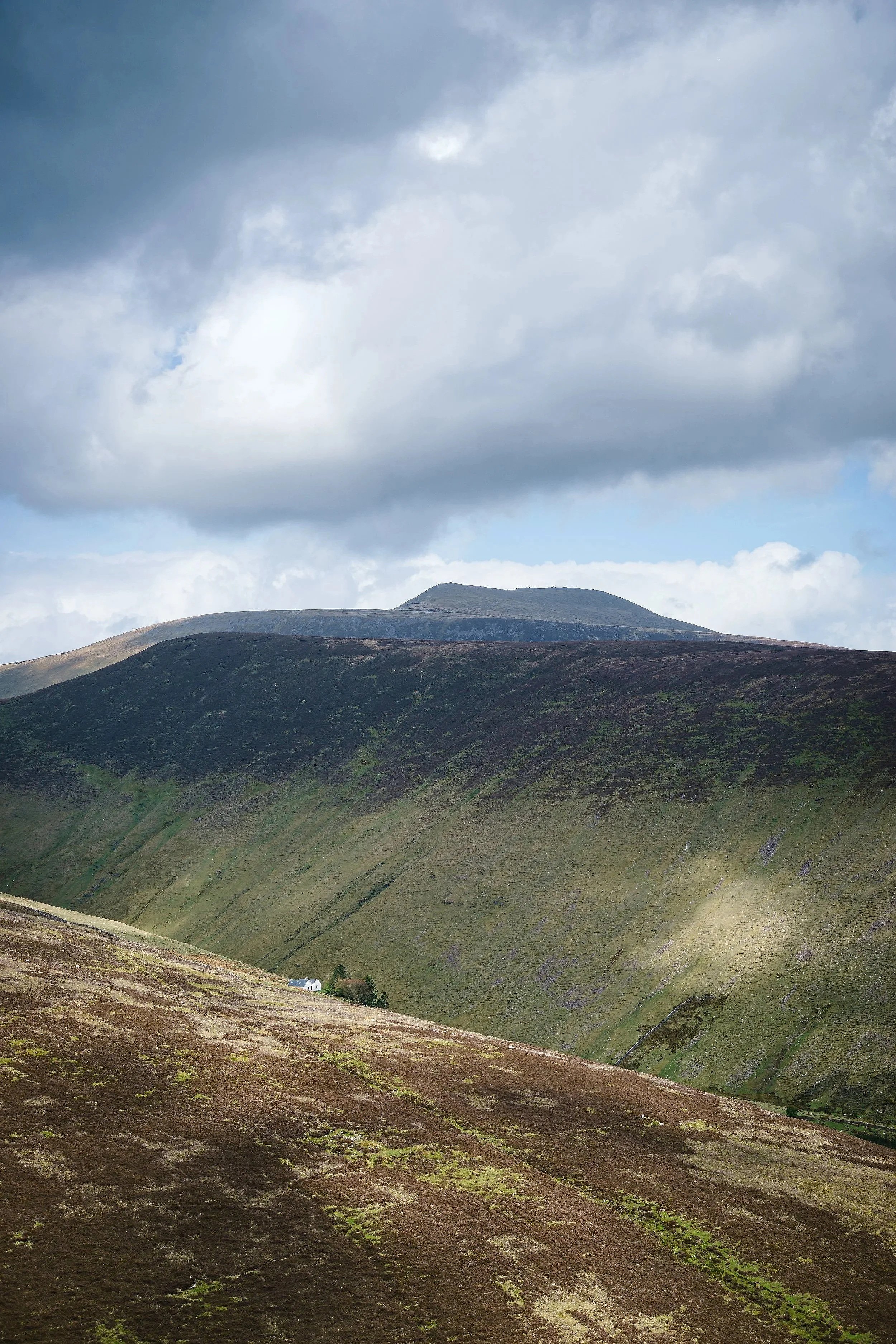 Carrigeen-Cottage-and-Galtymore.jpg