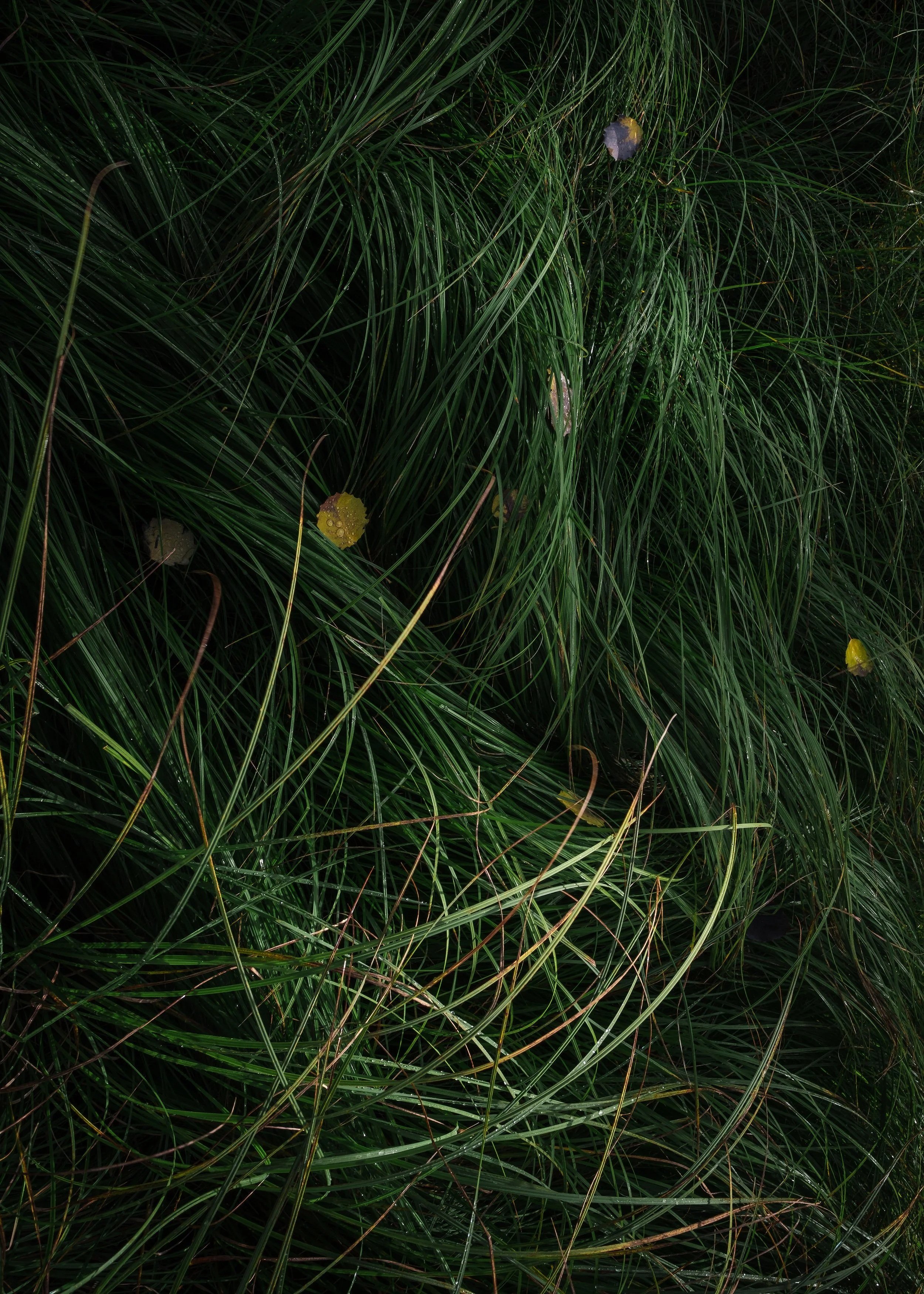 SM_20240928-_DSF0182.jpg