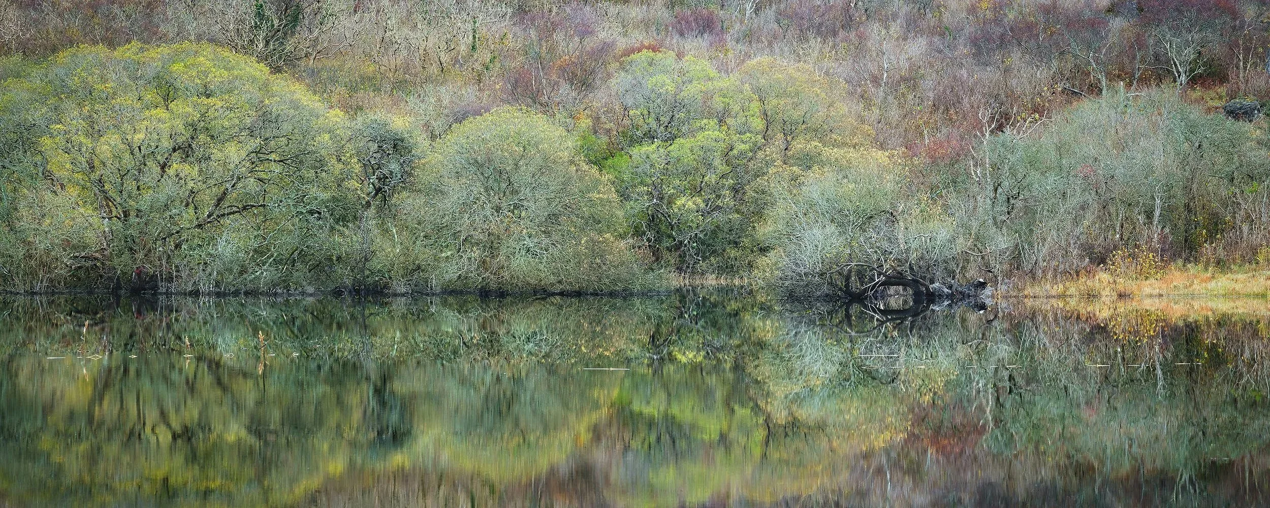 Autumn at Lough Gaelan
November 2023