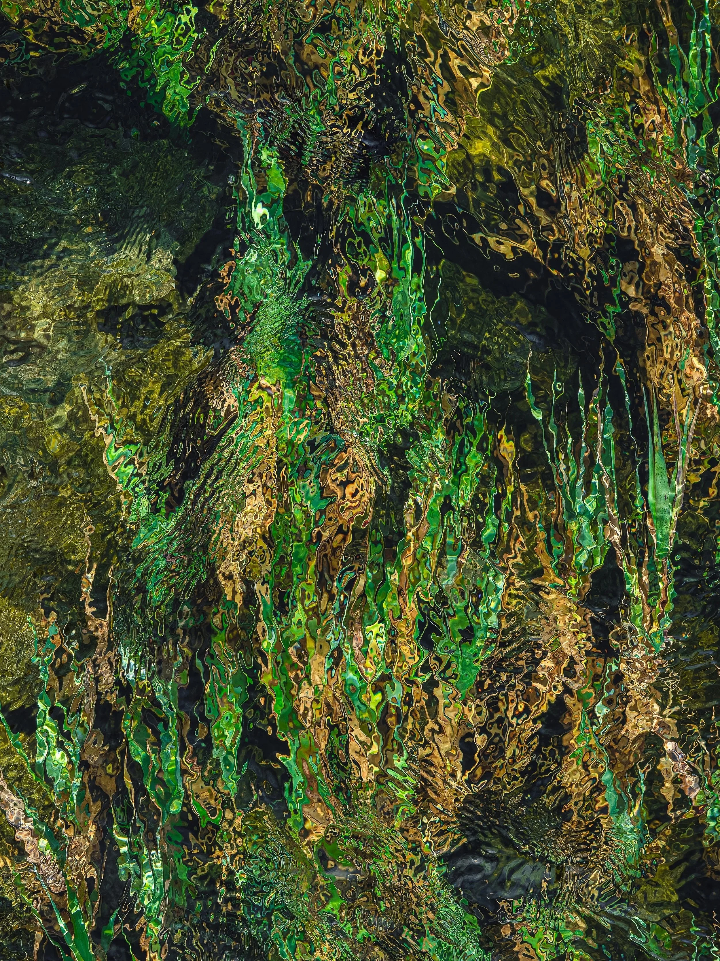Stilled Fluid Fonds
The Burren
September 2025