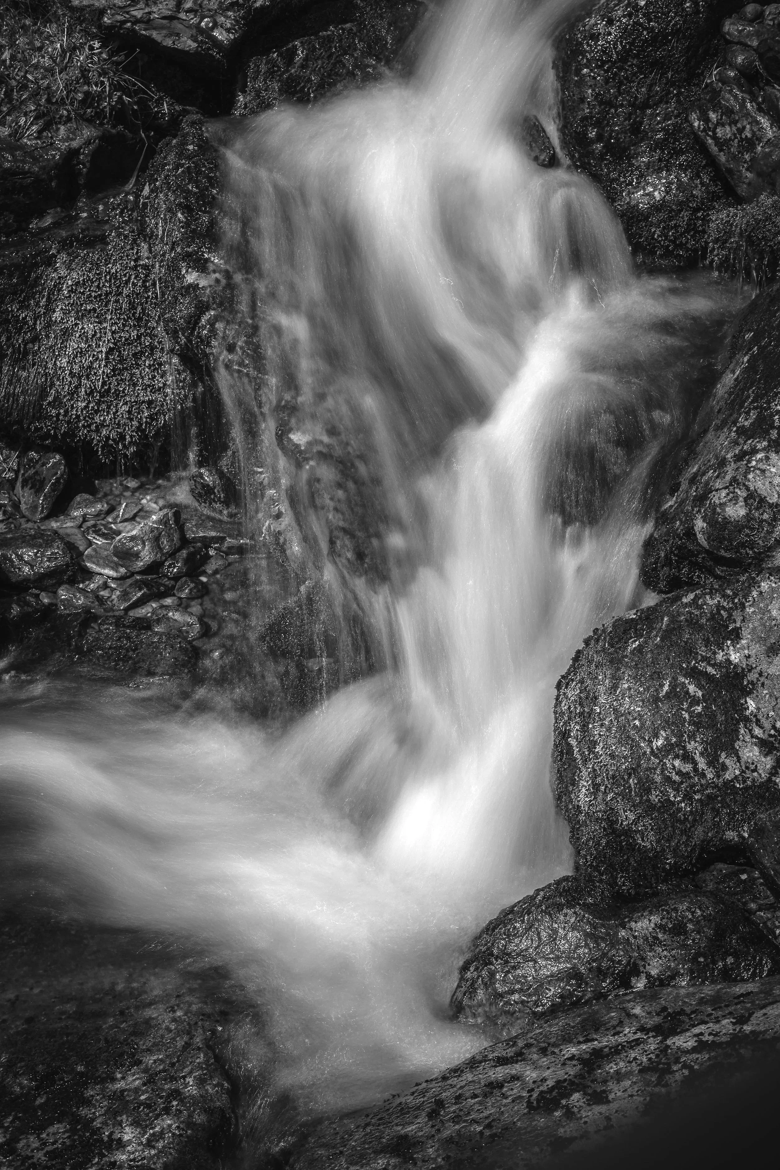 SM_20260523-_DSF0009.jpg