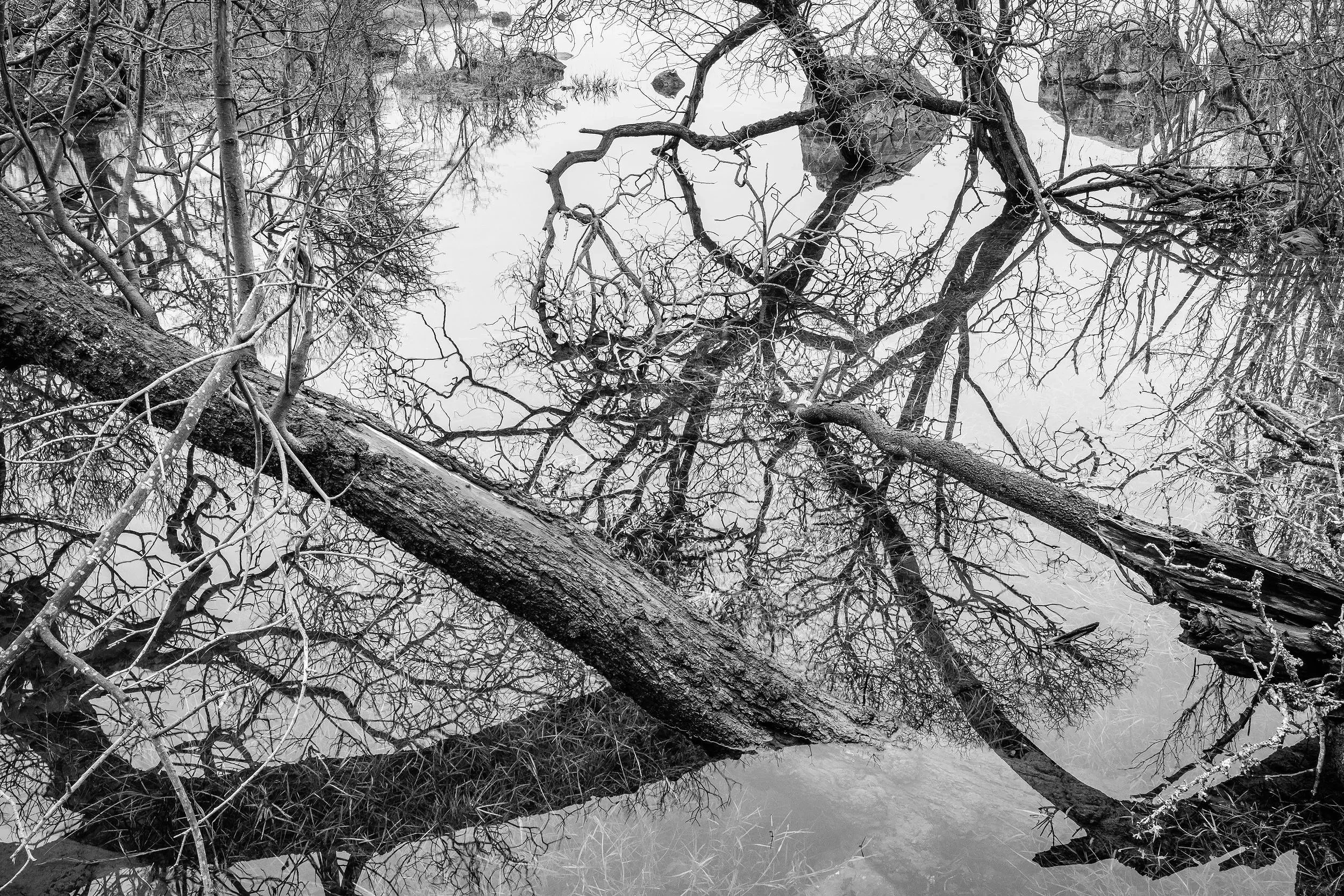 Winter Reflections at
Clearwater Lake
The Burren
January 2026