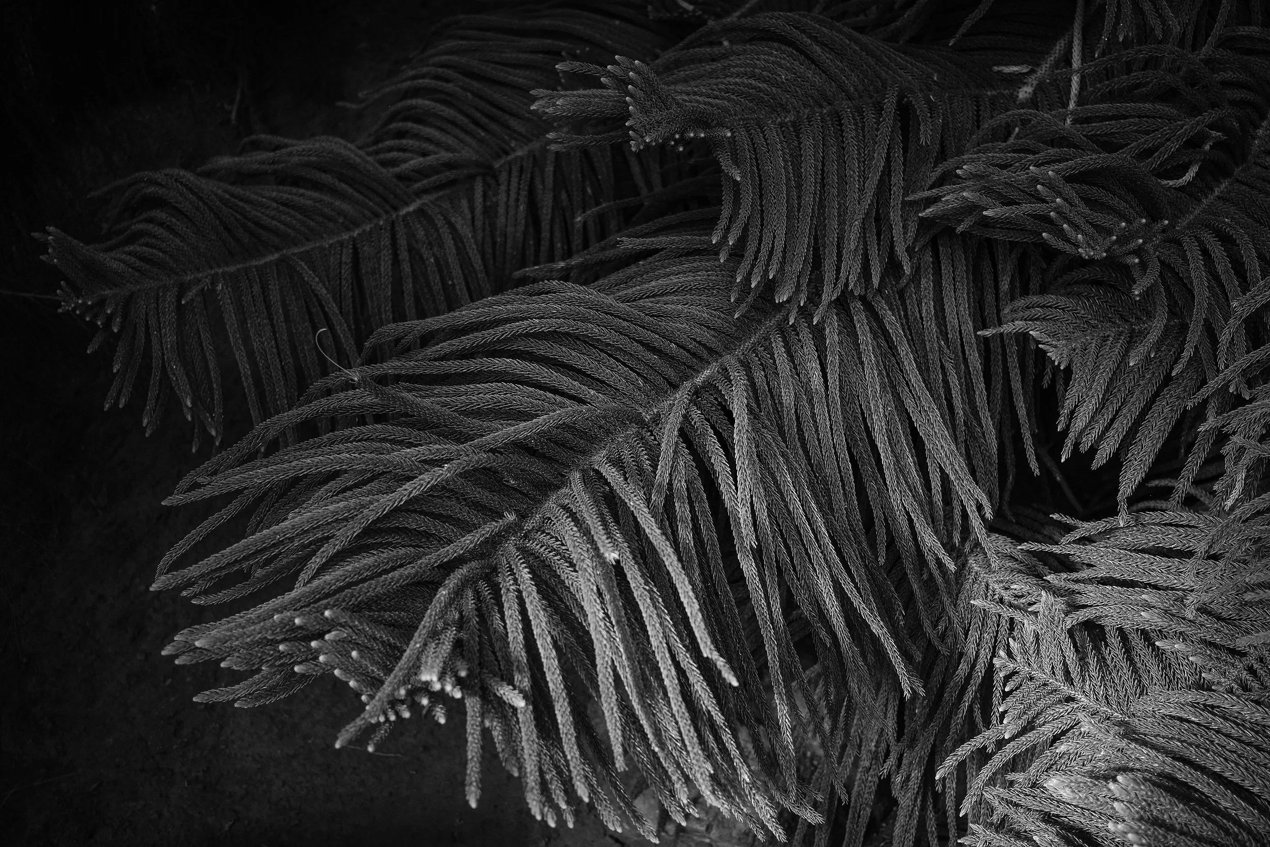 SM_20260907-_DSF0138.jpg