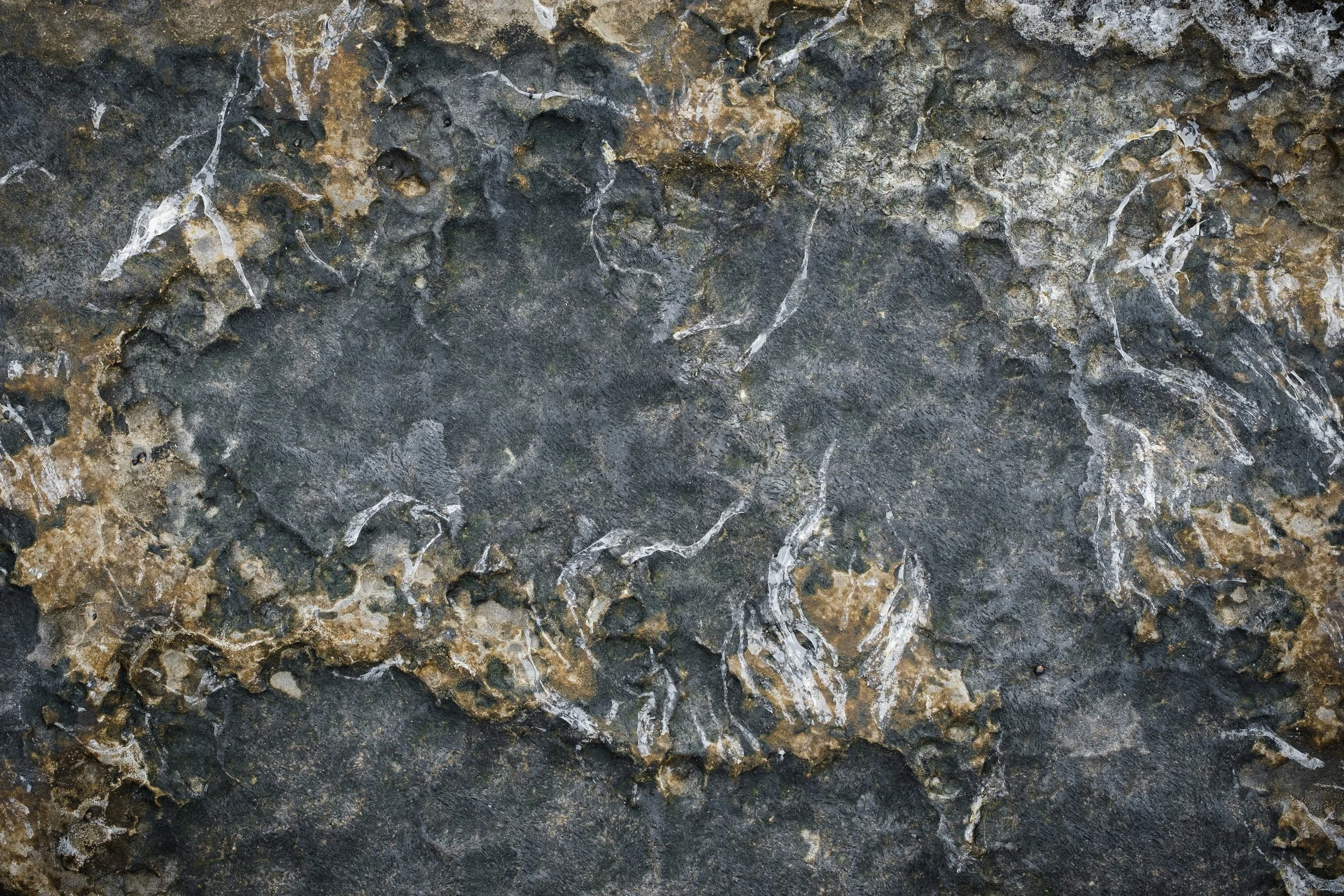 Close-up of a textured rock surface with dark gray and light brown colors, marked with white veins and patches.