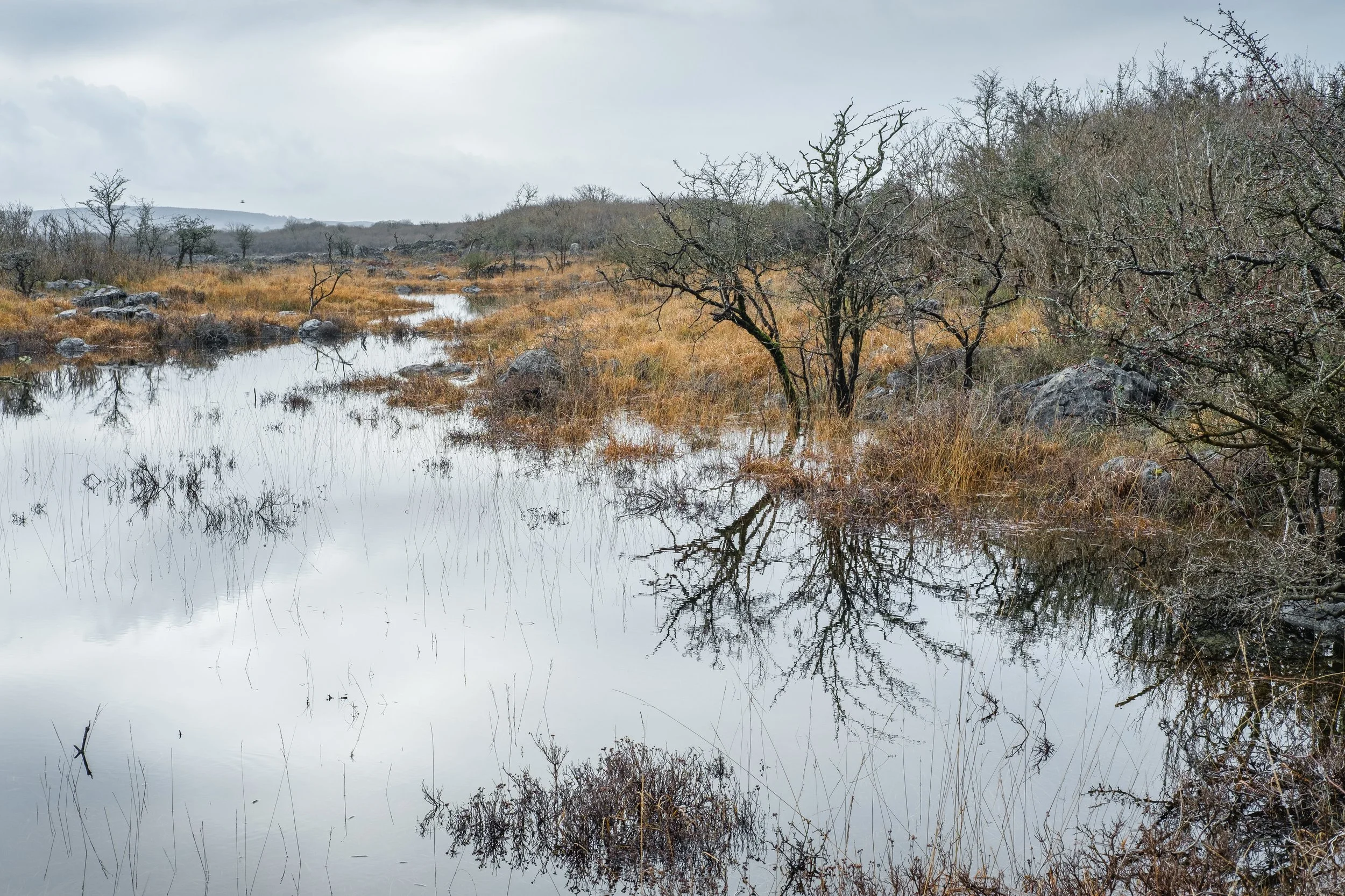 Turloughs Become Wetlands
The Burren
November 2025