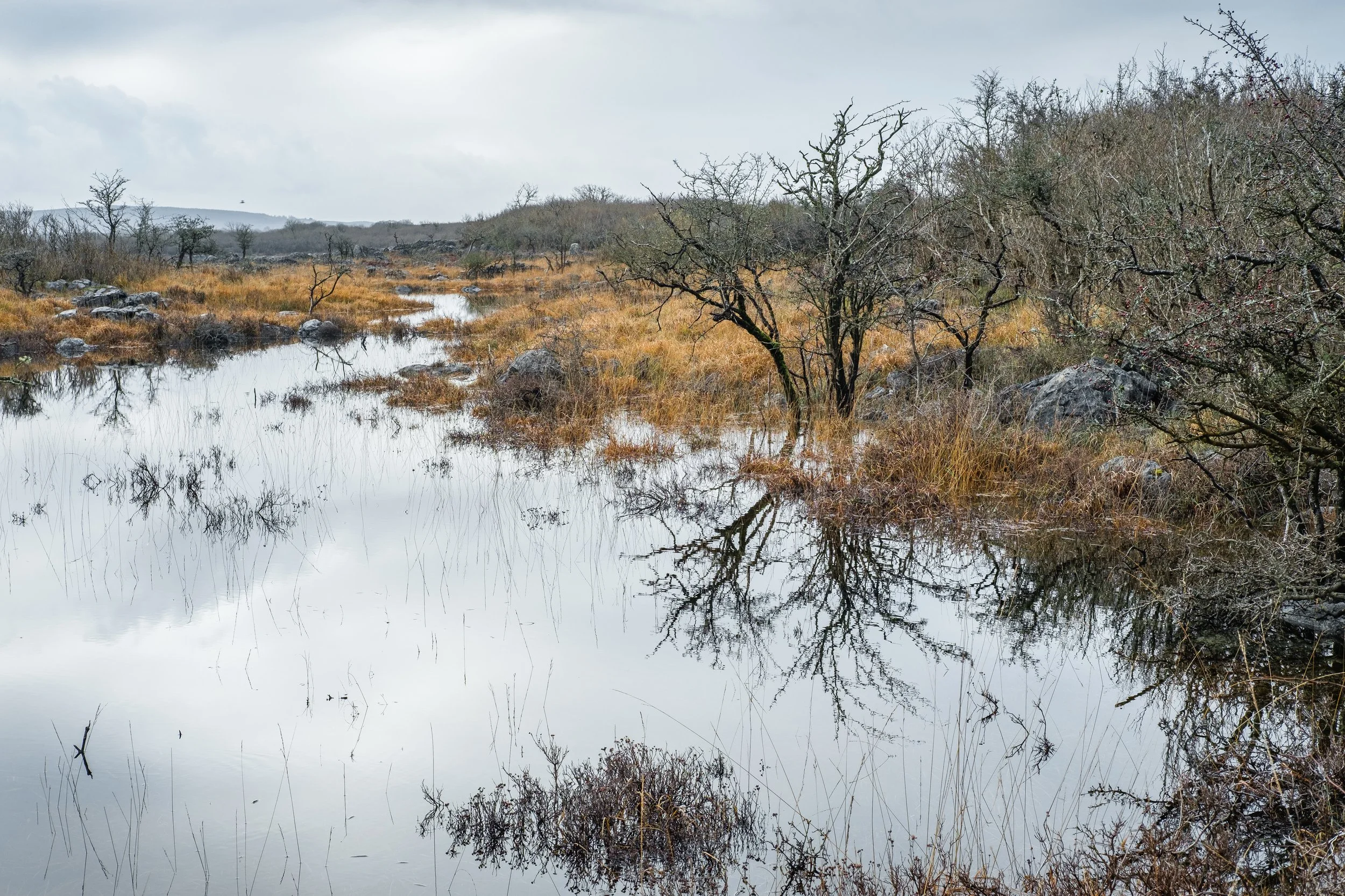Turloughs Become Wetlands
The Burren
November 2025