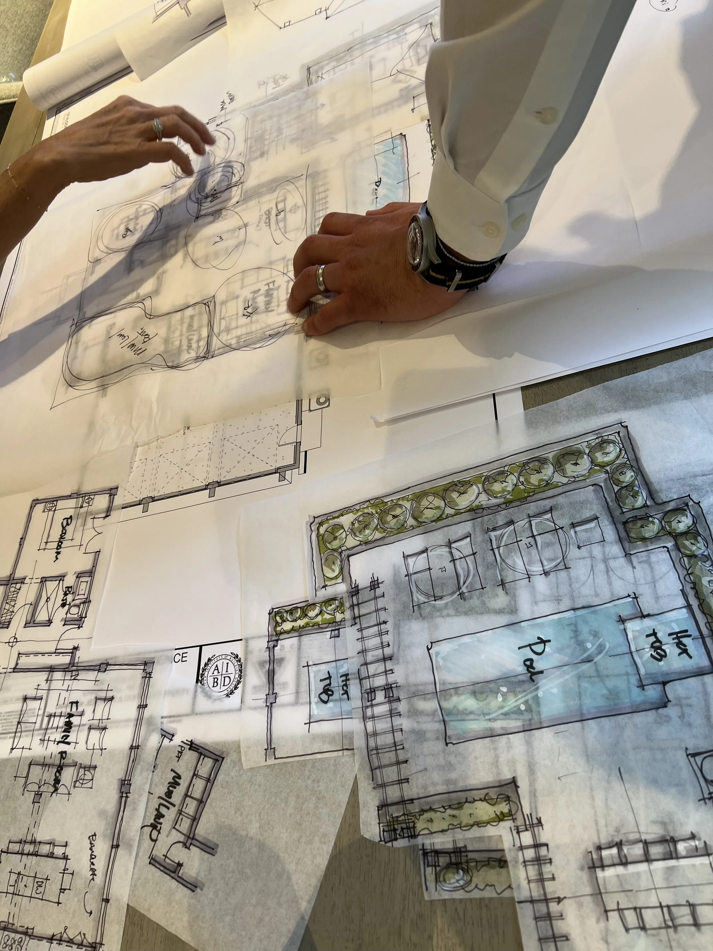 IMG_9558 - Rebecca Johnson (1).jpeg