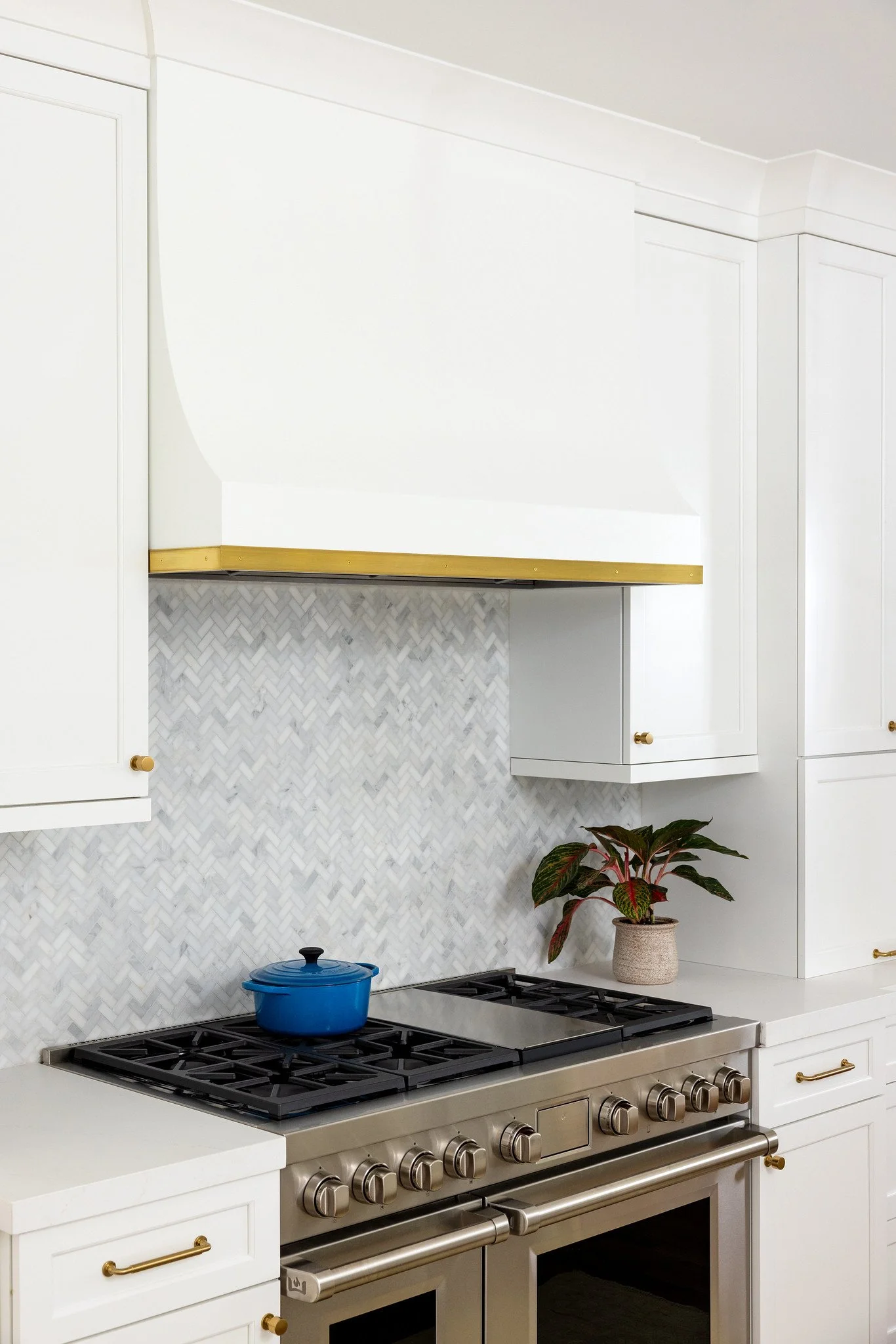 Modern kitchen with white cabinets, a marble backsplash, a stainless steel stove with a blue pot, and a potted plant.