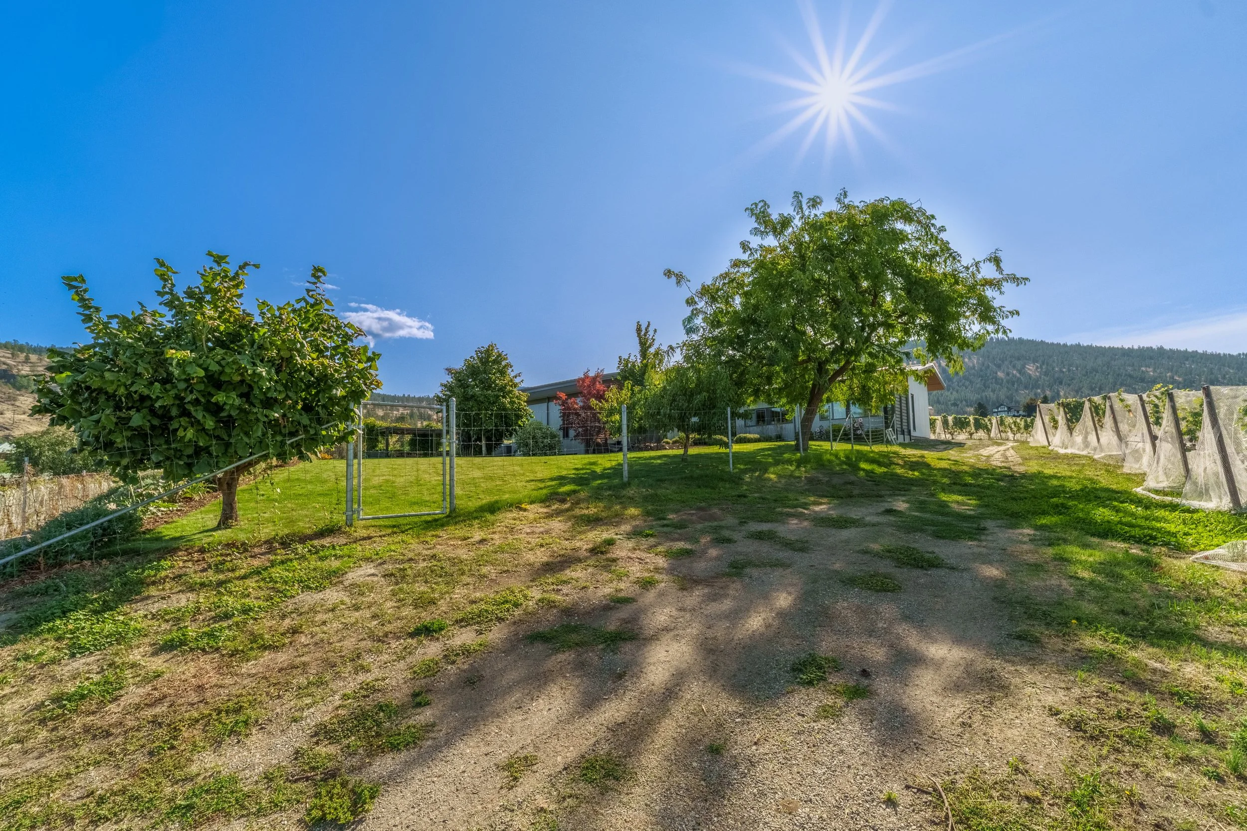 079-DSC01392-HDR-Edit.jpg