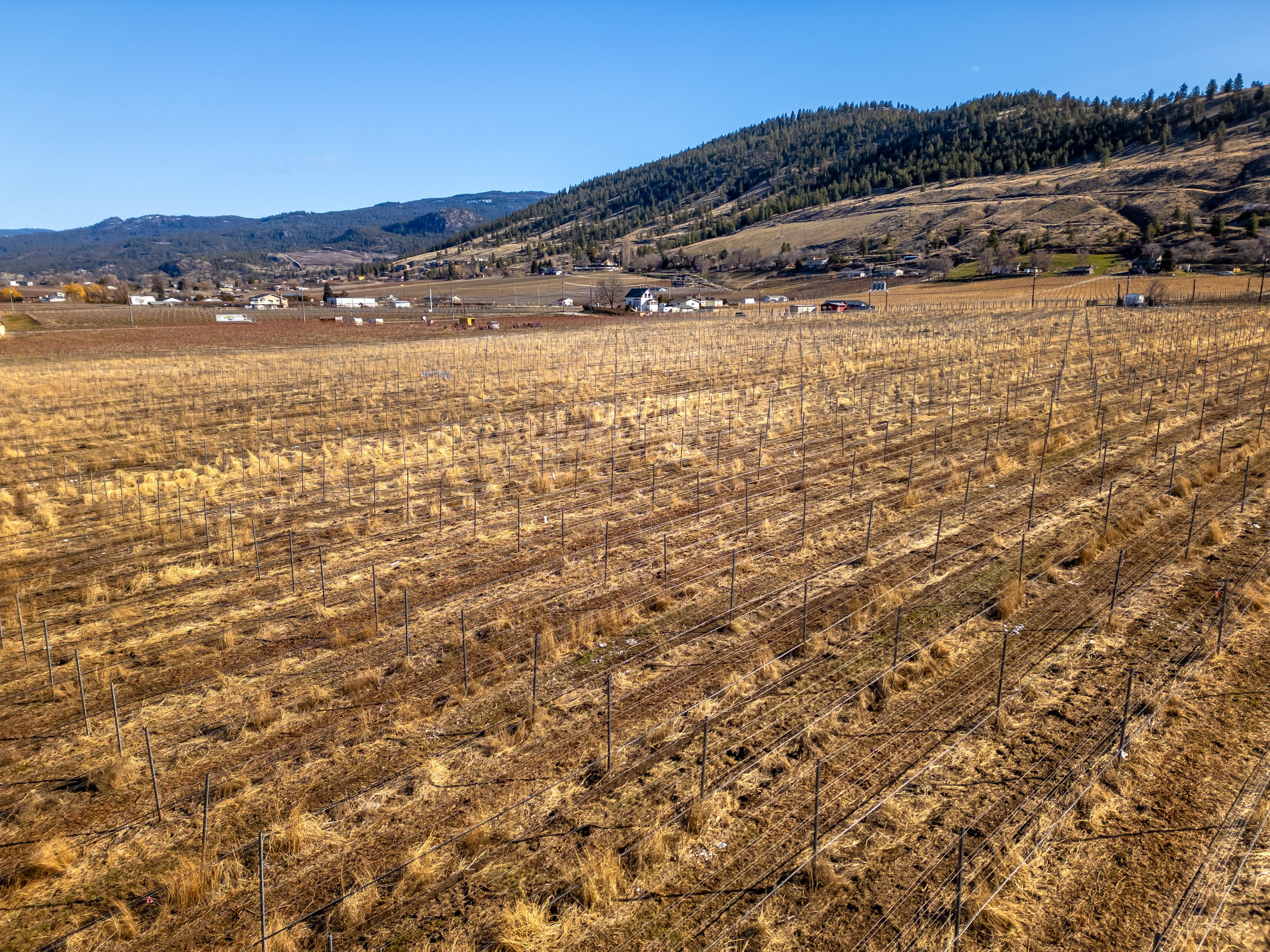 DJI_0145-HDR.jpg