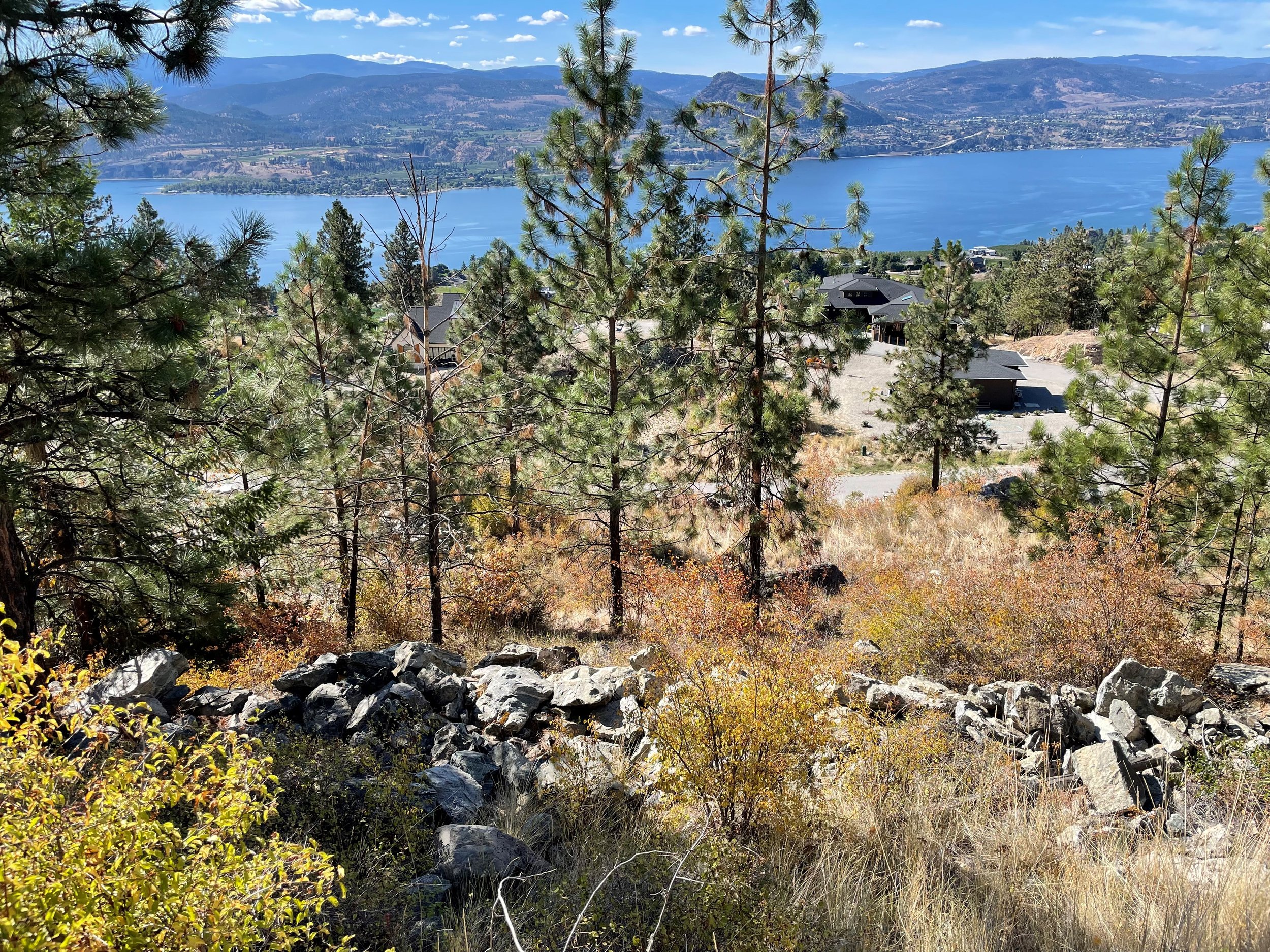 view south west.jpg