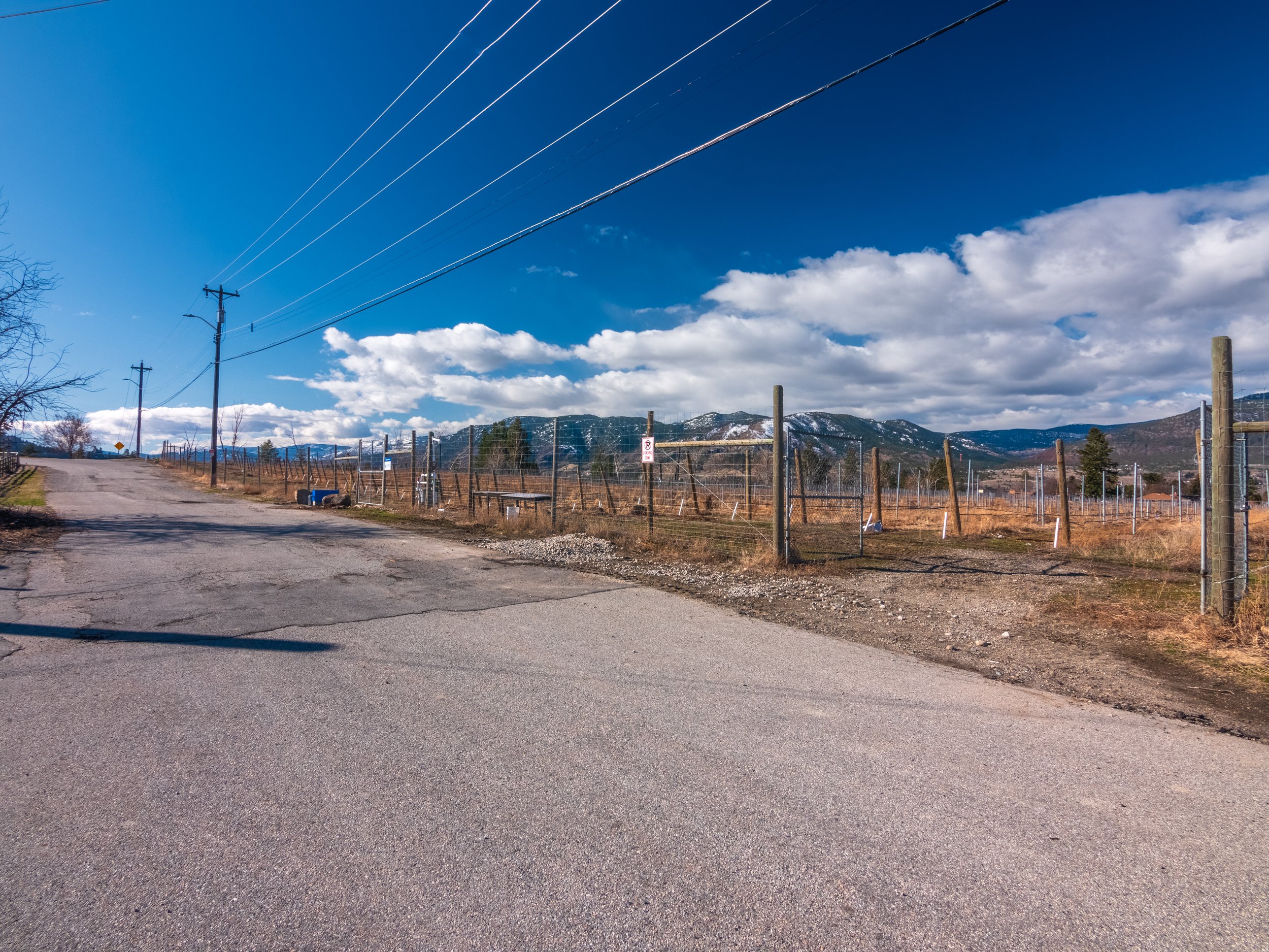 P2133358-HDR.jpg