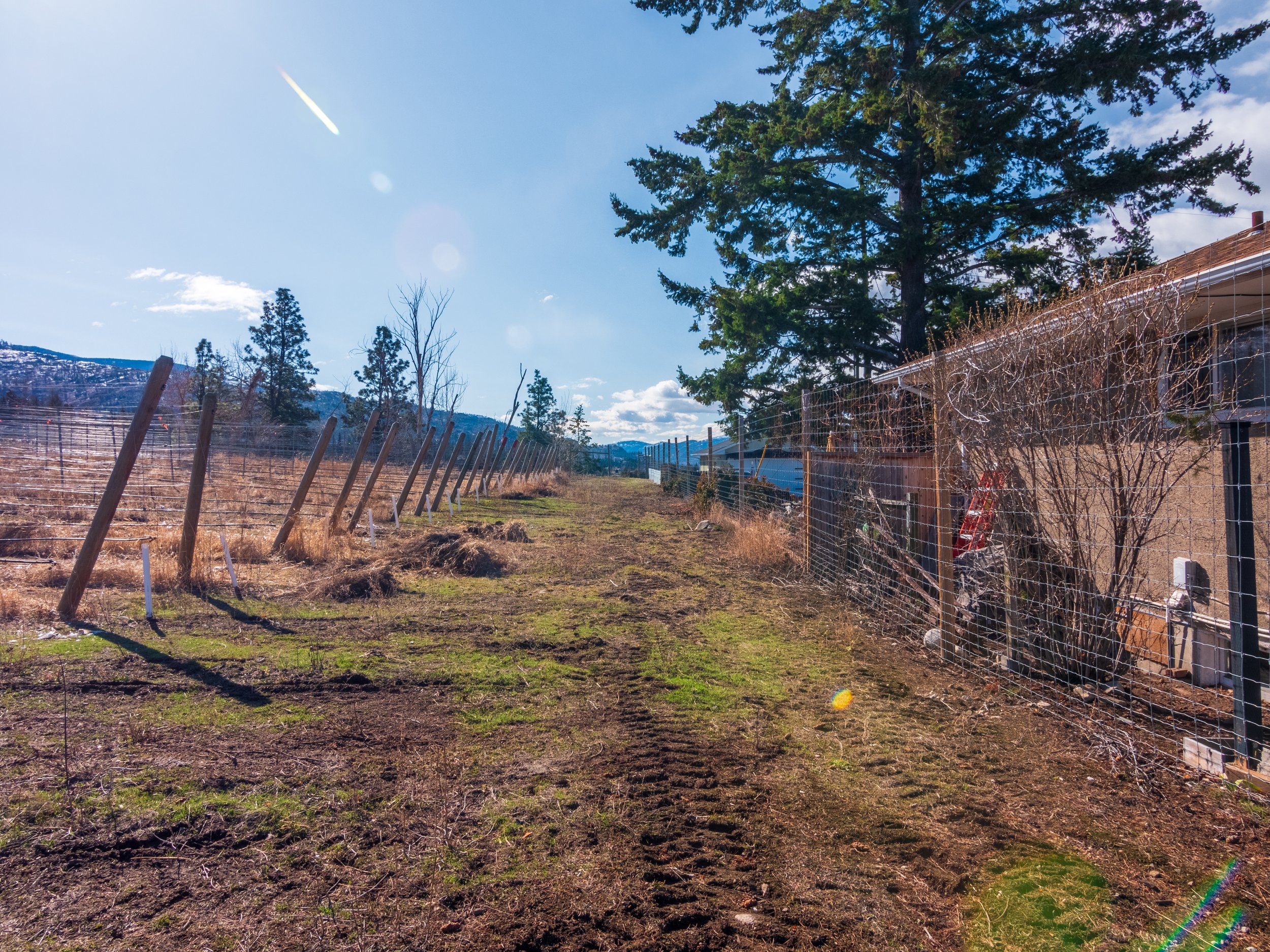 P2133890-HDR.jpg