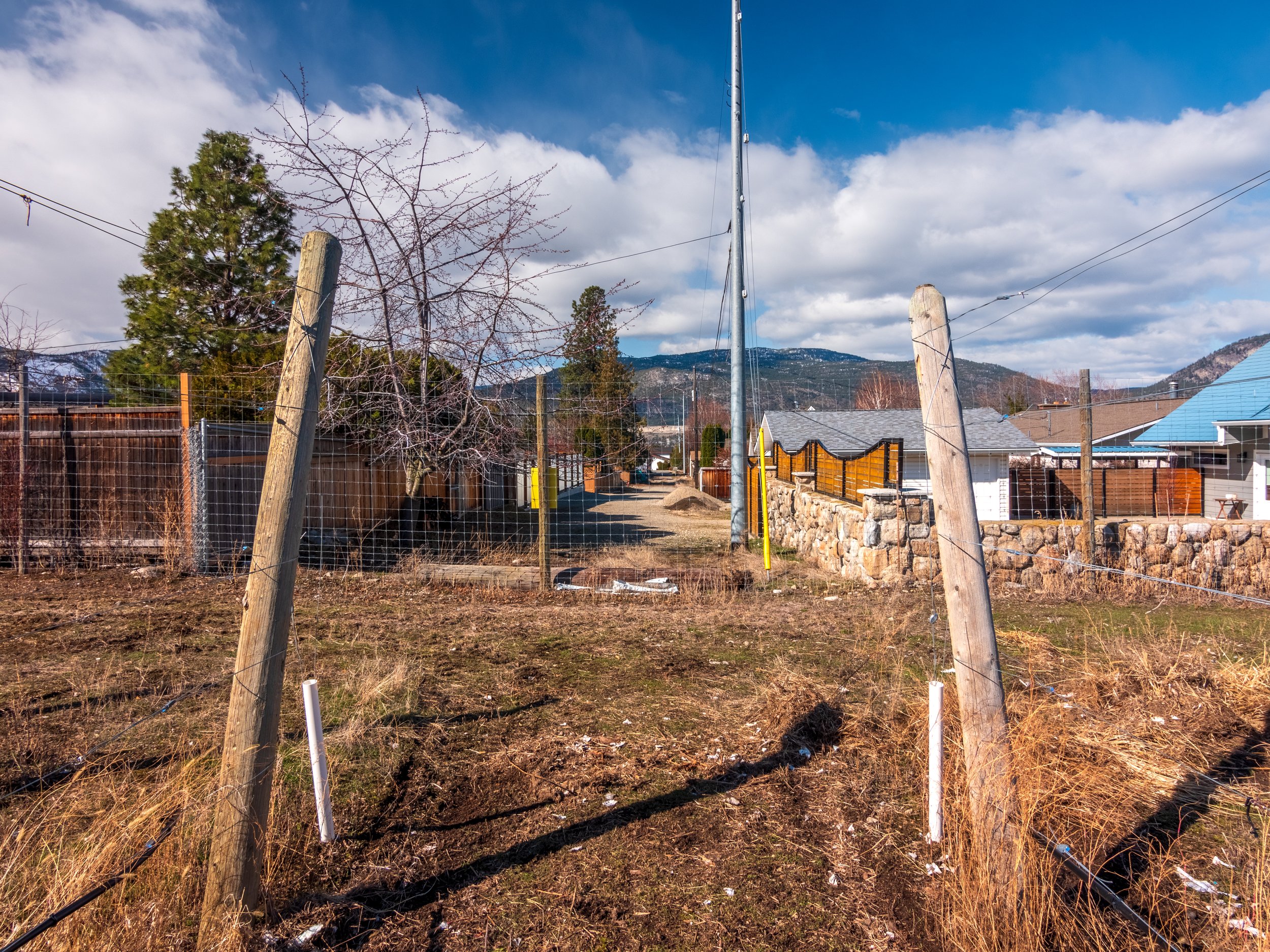 P2133932-HDR.jpg