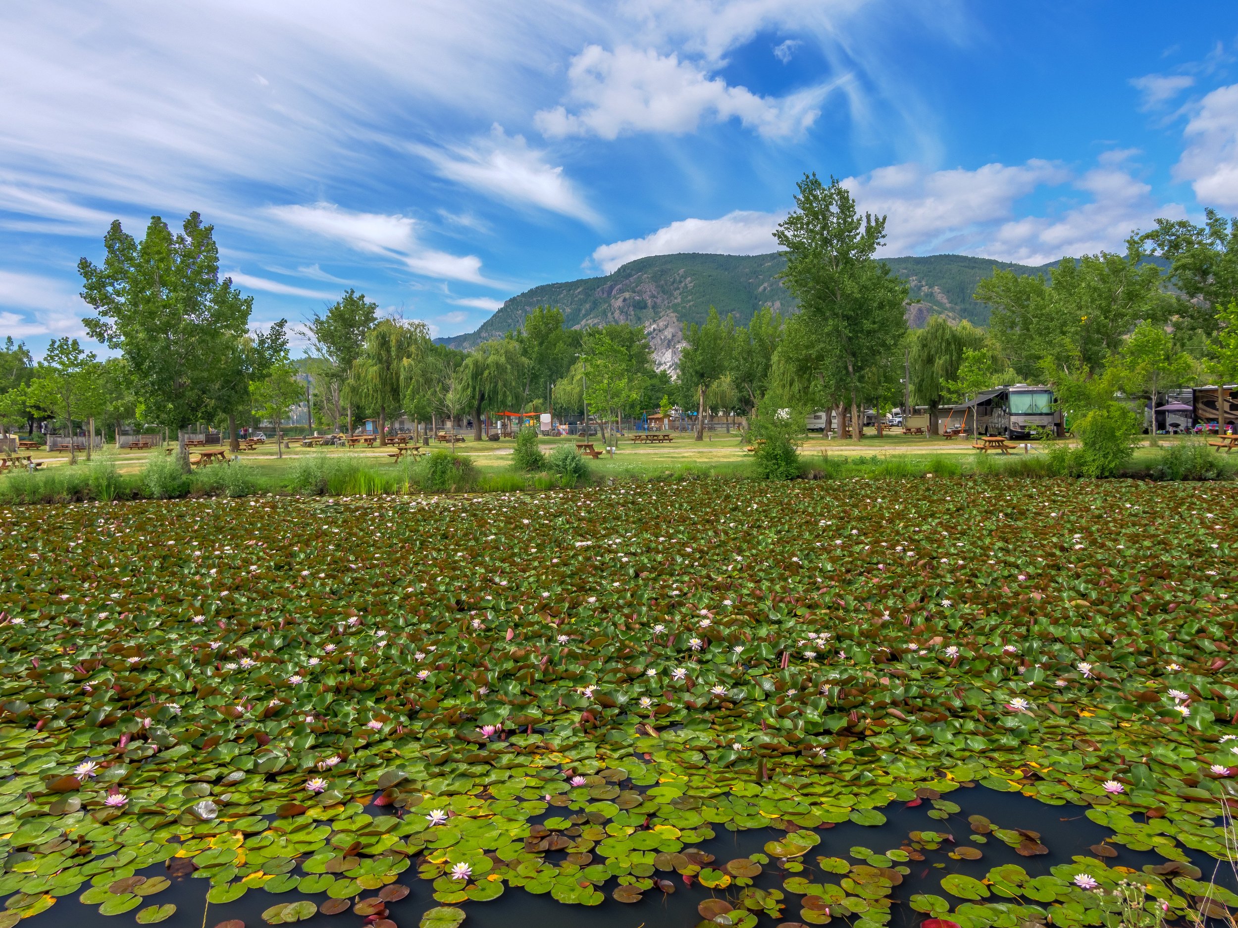 029-P2344189-HDR.jpg
