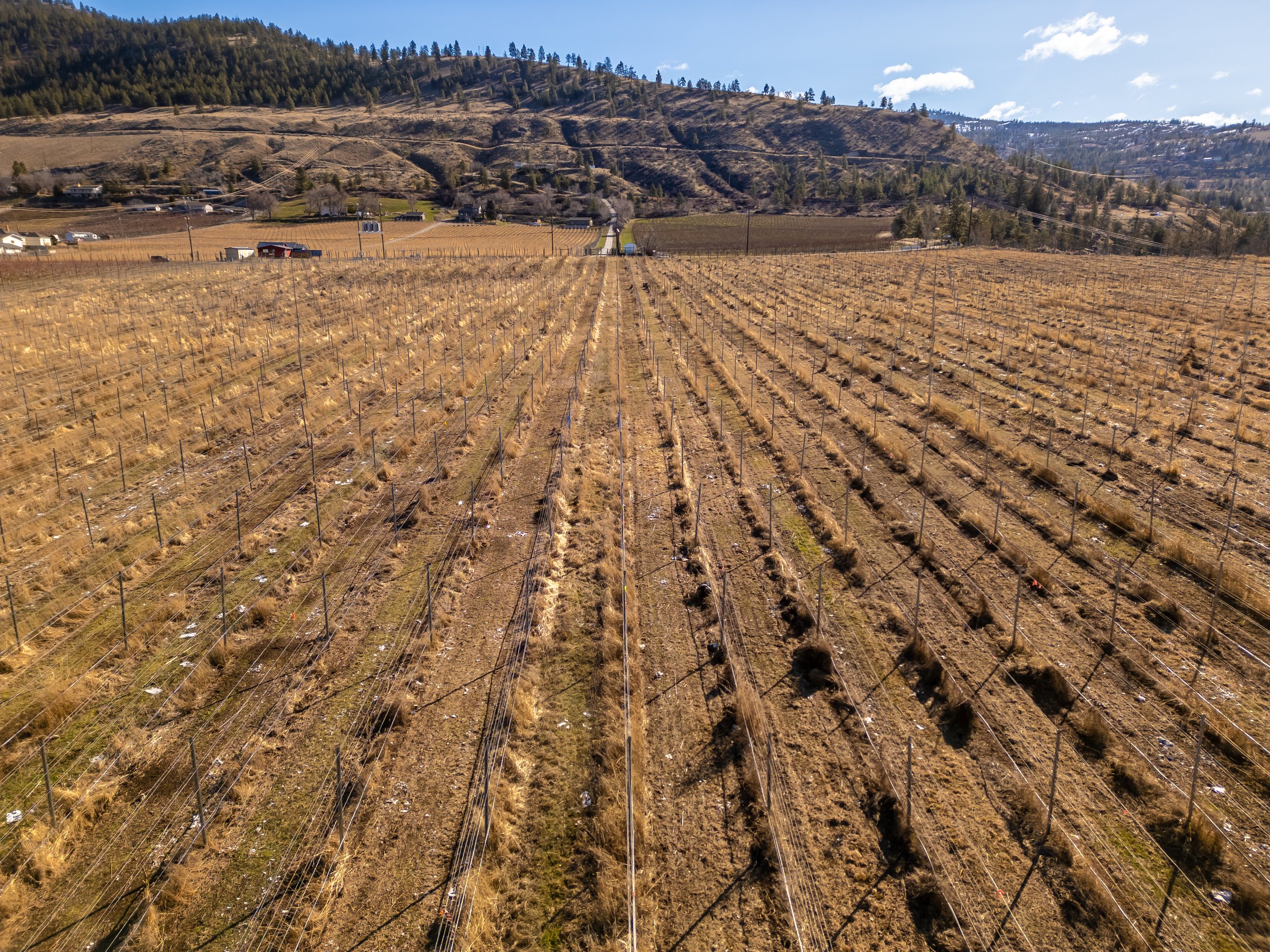 DJI_0180-HDR.jpg