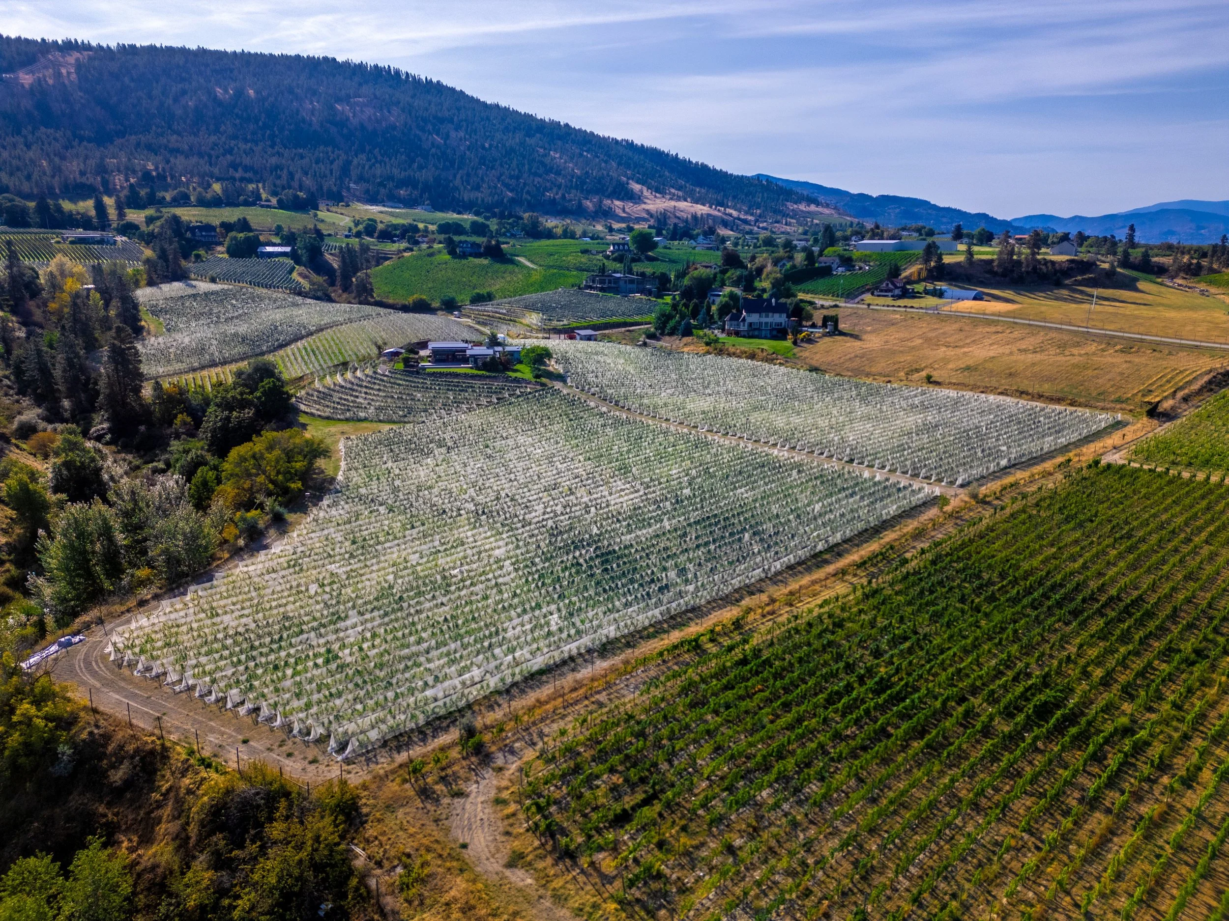 100-DJI_0461-HDR.jpg