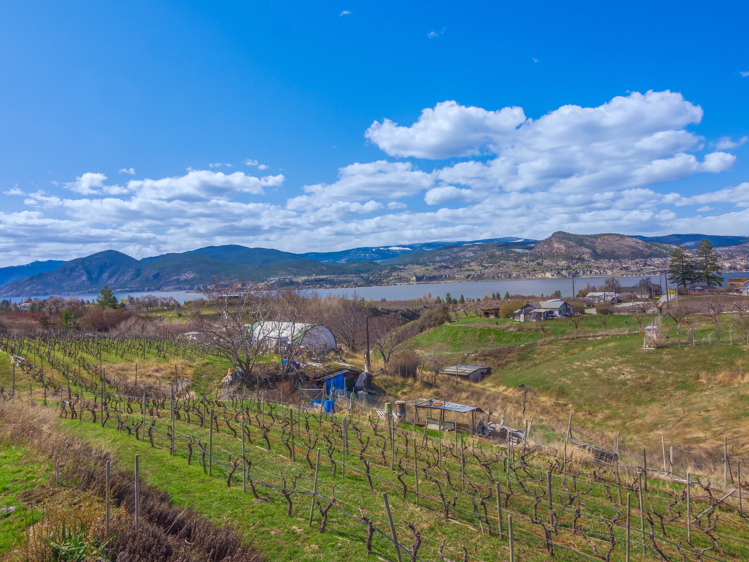 041-P2188794-Edit.jpg