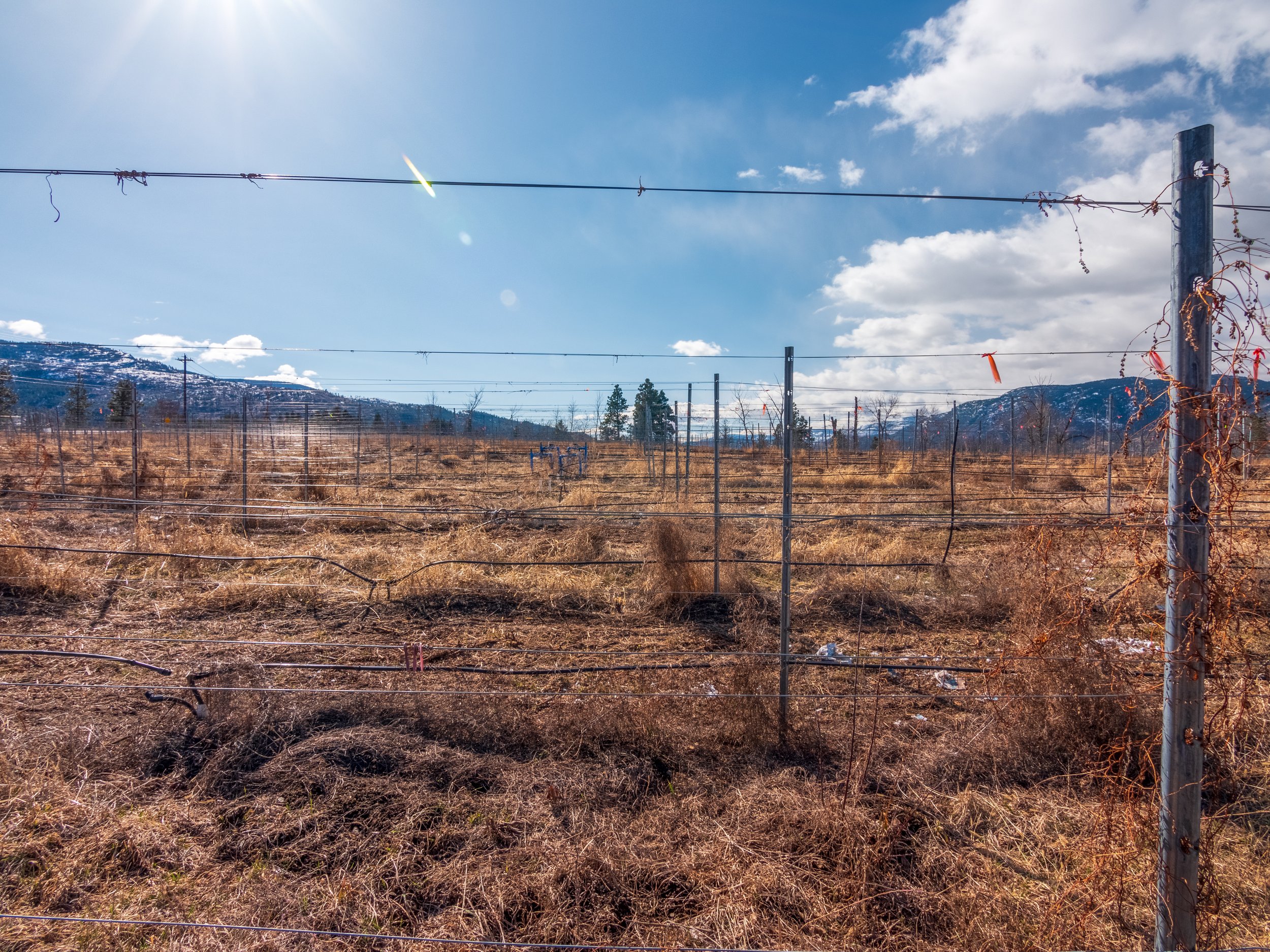 P2144192-HDR-Edit.jpg