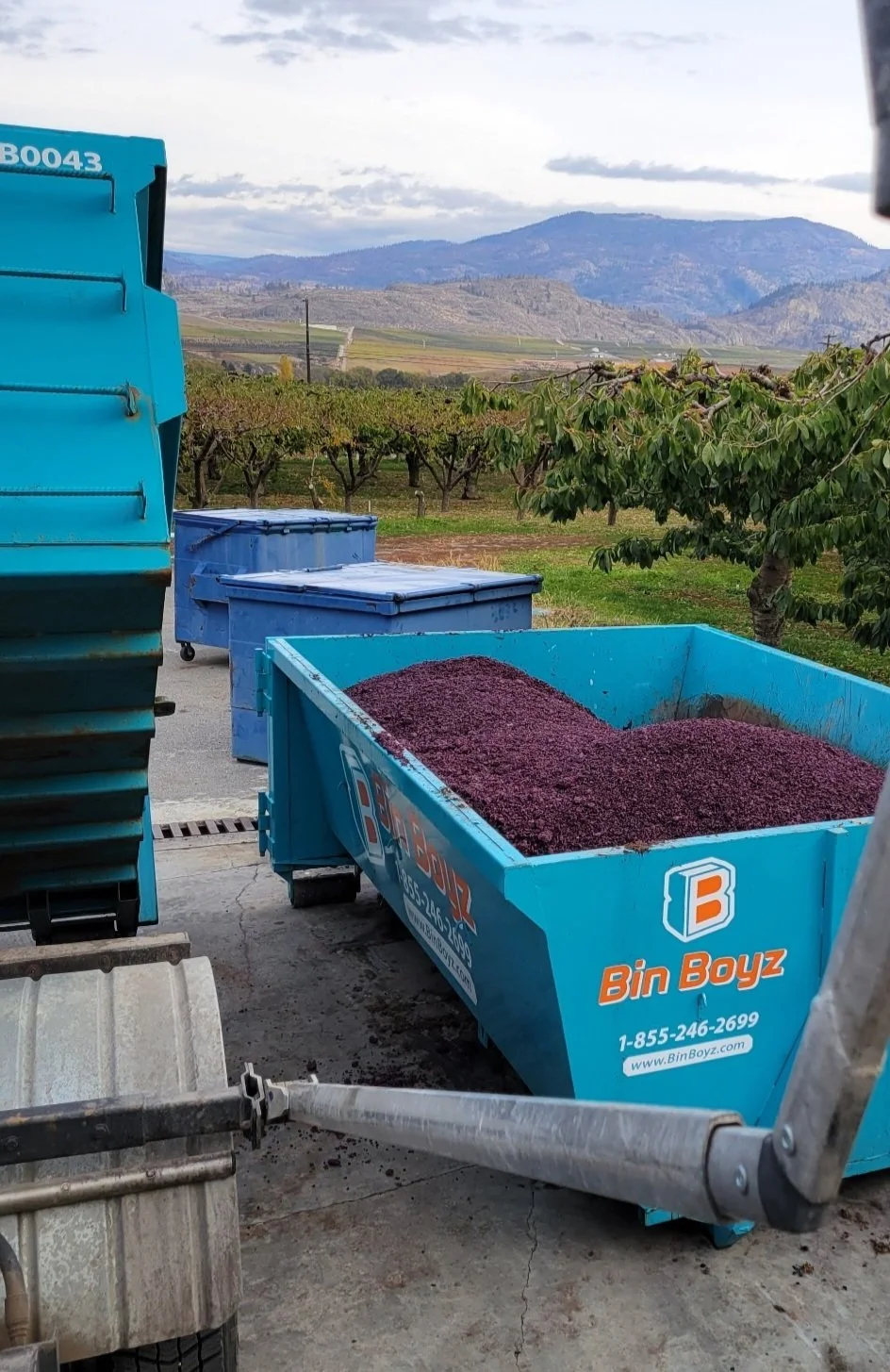 314405064_529252392543934_4766111763743432877_n 2.jpg